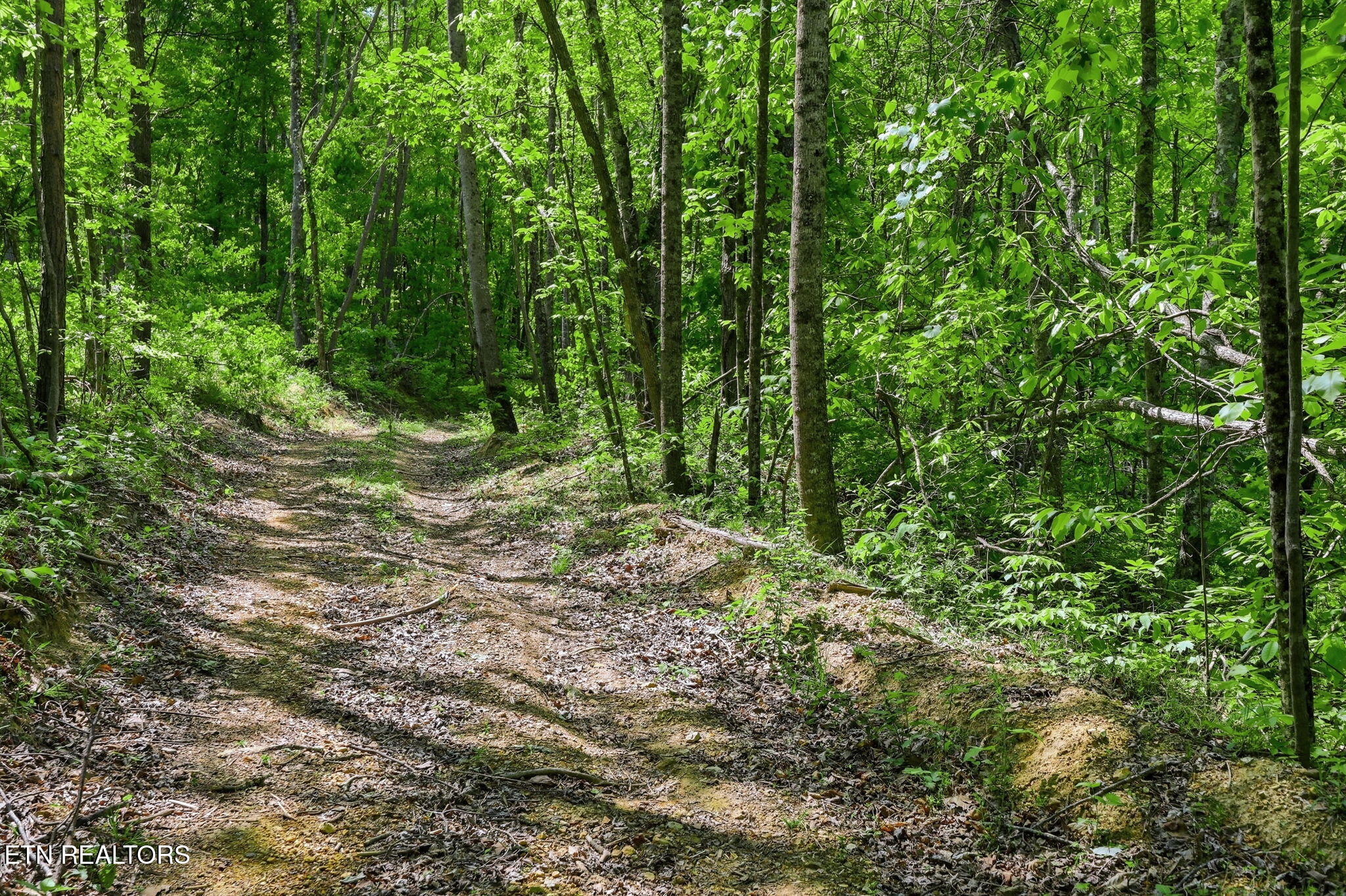 Cove Point Road La Follette, TN 37766 - Photo 23 of 39 23-web-or-mls-RS9_5904