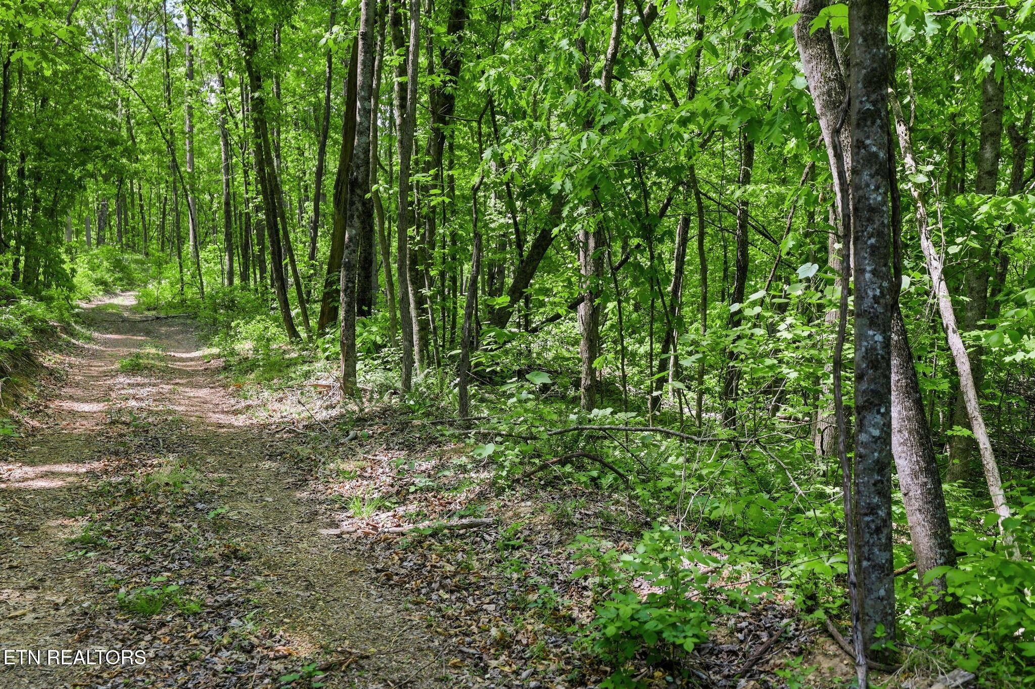 Cove Point Road La Follette, TN 37766 - Photo 24 of 39 24-web-or-mls-RS9_5907