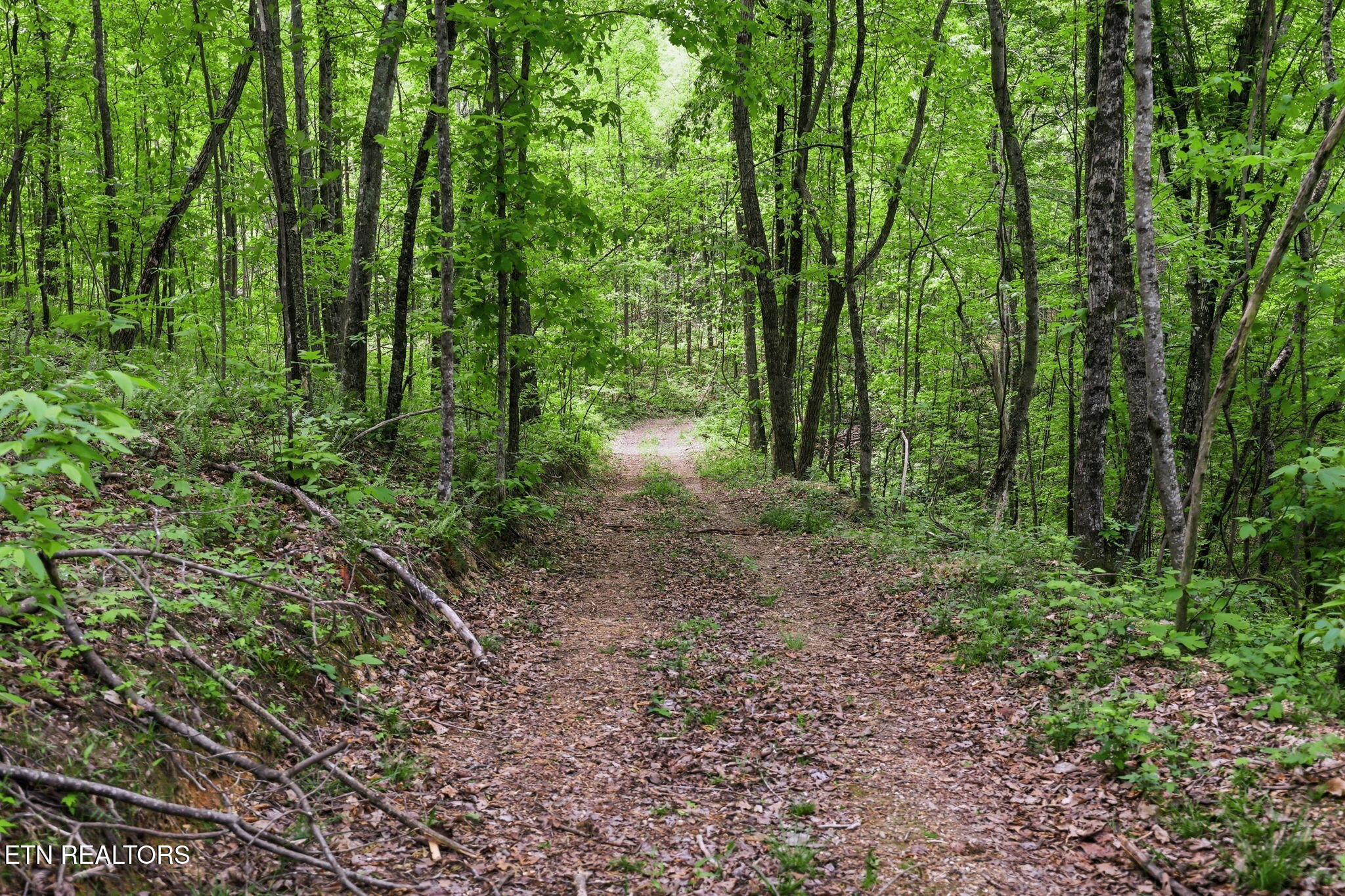 Cove Point Road La Follette, TN 37766 - Photo 25 of 39 25-web-or-mls-RS9_5910