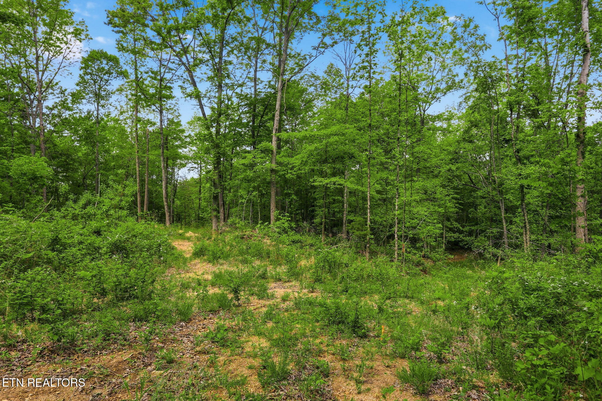 Cove Point Road La Follette, TN 37766 - Photo 26 of 39 26-web-or-mls-RS9_5913B