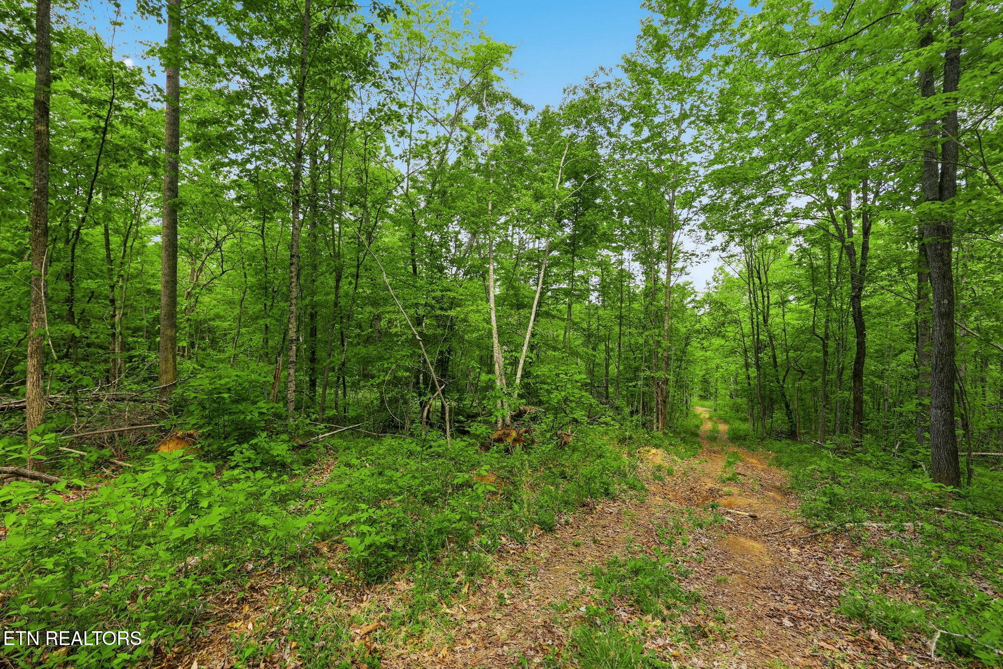 Cove Point Road La Follette, TN 37766 - Photo 28 of 39 28-web-or-mls-RS9_5919