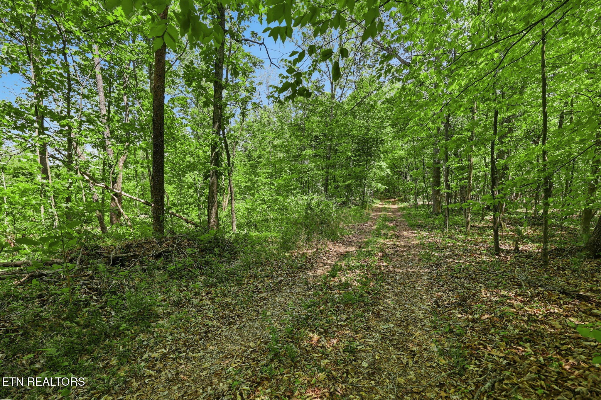 Cove Point Road La Follette, TN 37766 - Photo 30 of 39 30-web-or-mls-RS9_5940