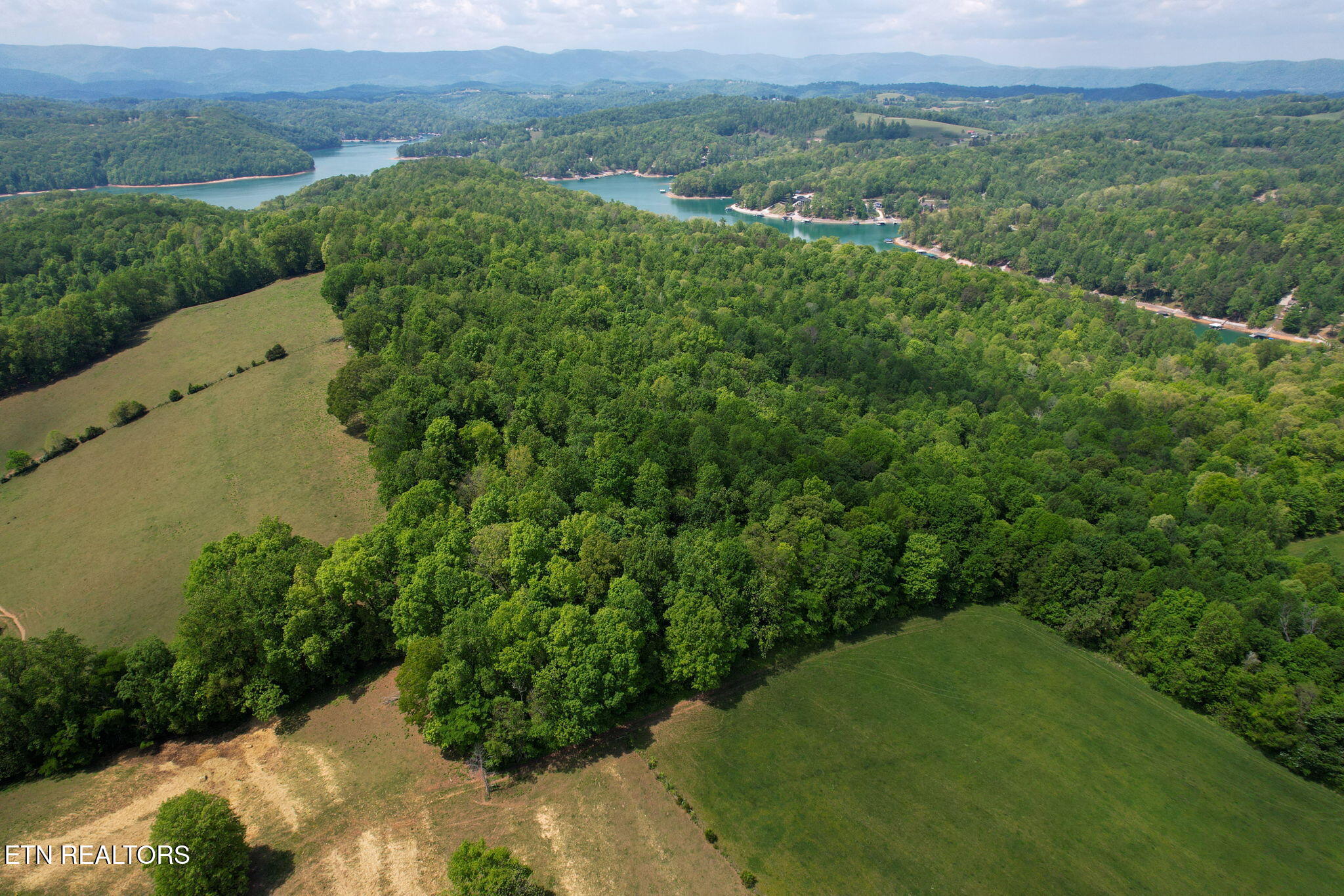 Cove Point Road La Follette, TN 37766 - Photo 3 of 39 2-web-or-mls-DJI_0007B