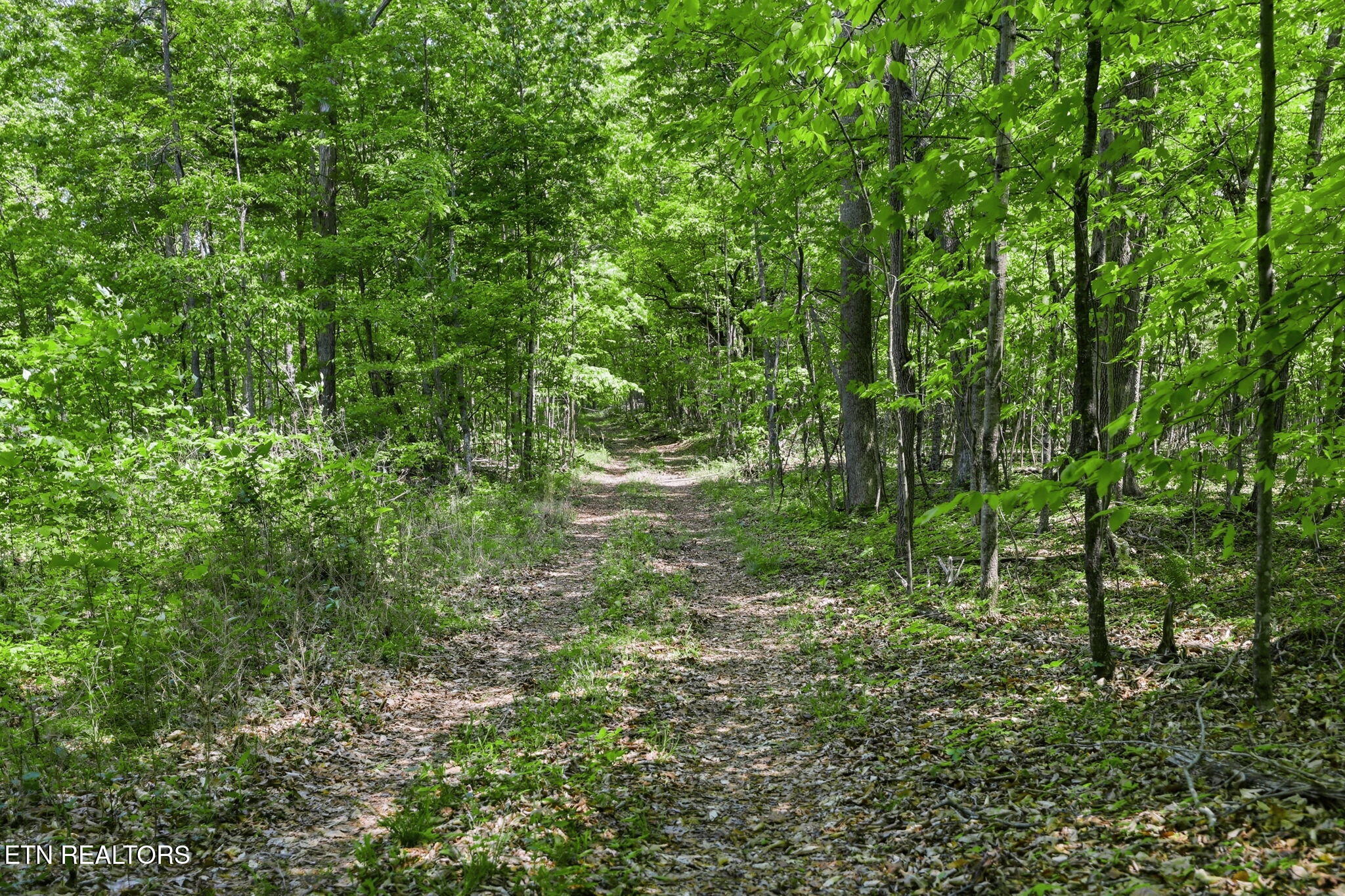 Cove Point Road La Follette, TN 37766 - Photo 31 of 39 31-web-or-mls-RS9_5943