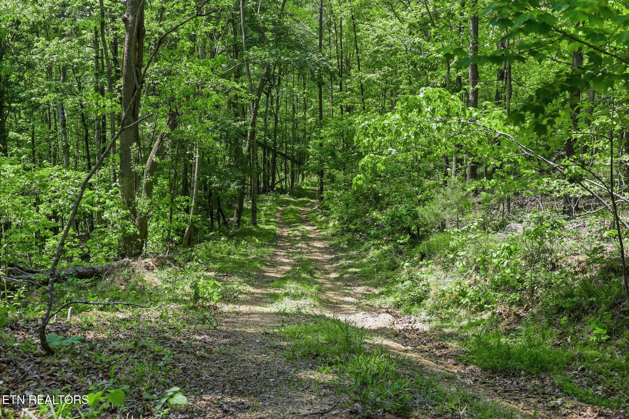 Cove Point Road La Follette, TN 37766 - Photo 32 of 39 32-web-or-mls-RS9_5946