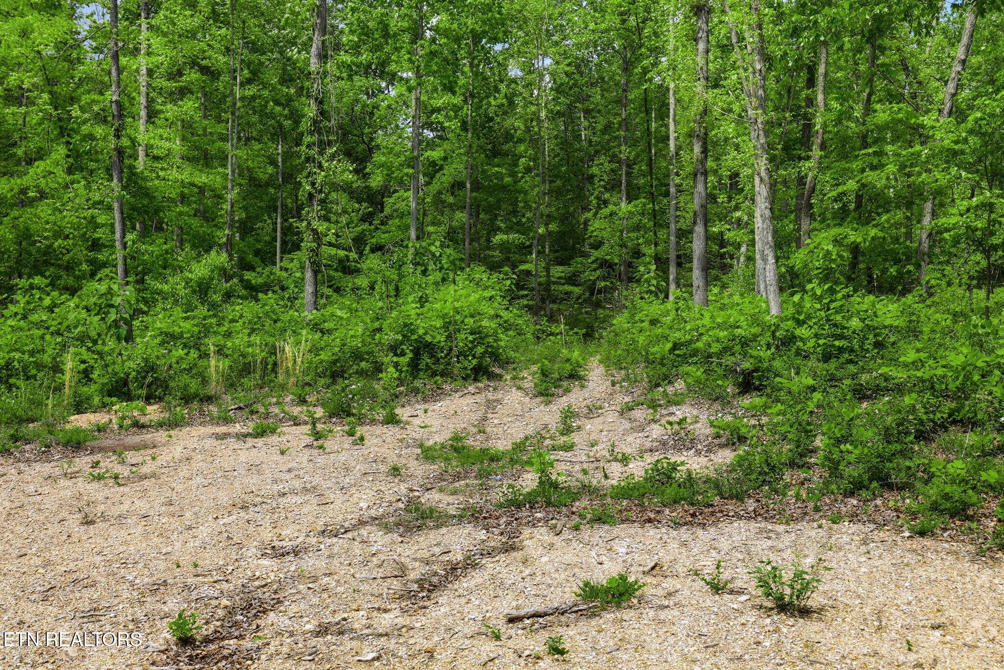 Cove Point Road La Follette, TN 37766 - Photo 34 of 39 34-web-or-mls-RS9_5952