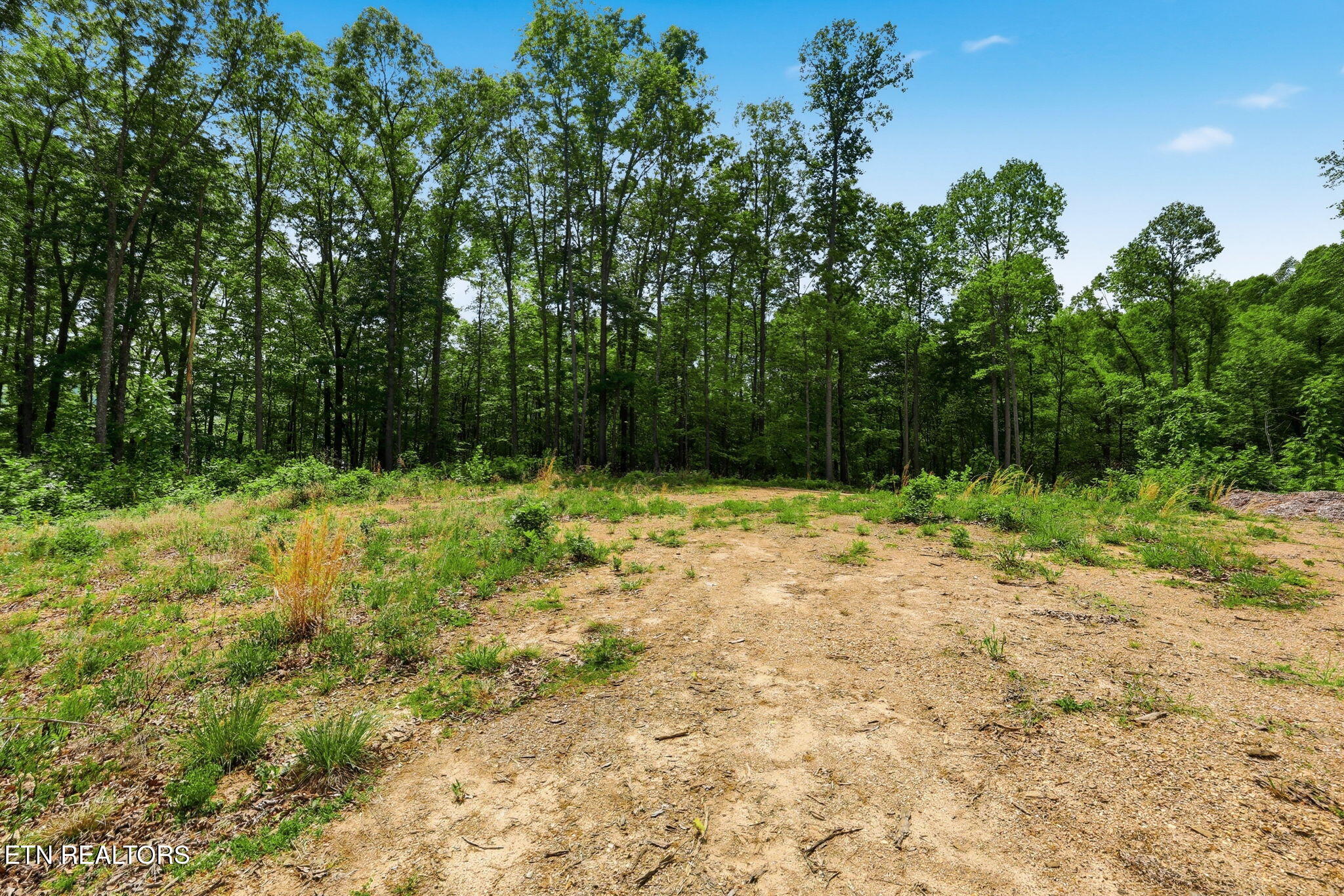 Cove Point Road La Follette, TN 37766 - Photo 35 of 39 35-web-or-mls-RS9_5955B