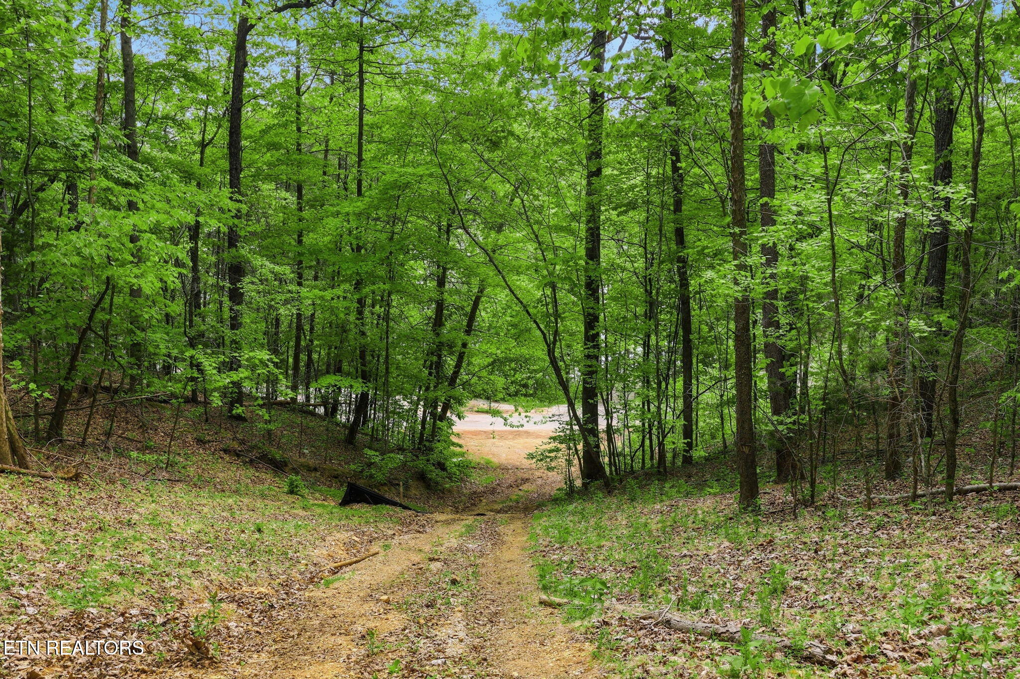 Cove Point Road La Follette, TN 37766 - Photo 38 of 39 38-web-or-mls-RS9_5967