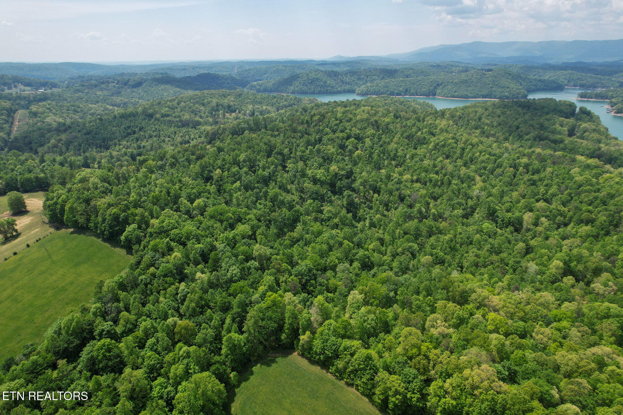 Cove Point Road La Follette, TN 37766 - Photo 4 of 39 3-web-or-mls-DJI_0013B