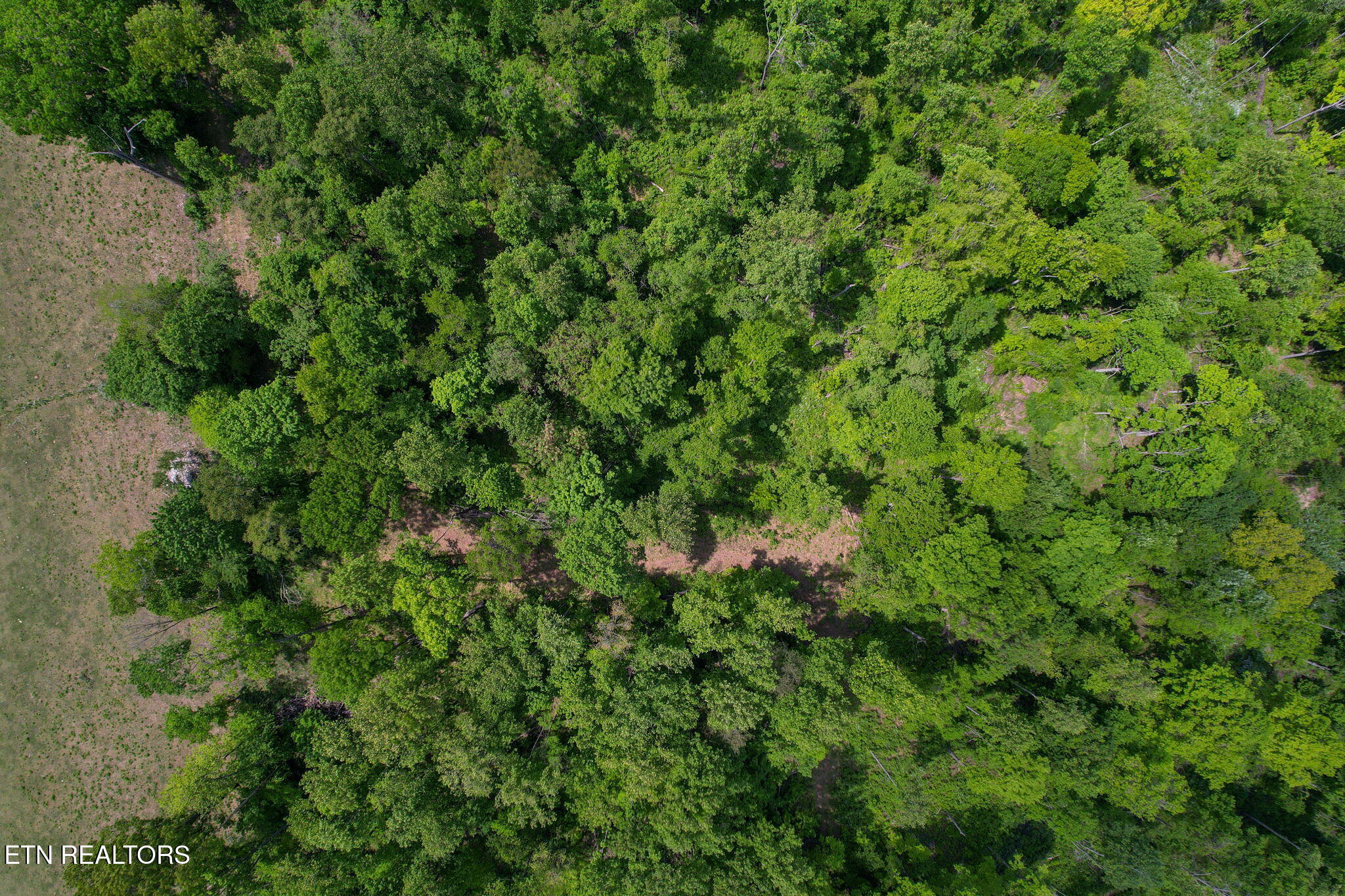 Cove Point Road La Follette, TN 37766 - Photo 5 of 39 4-web-or-mls-DJI_0020B