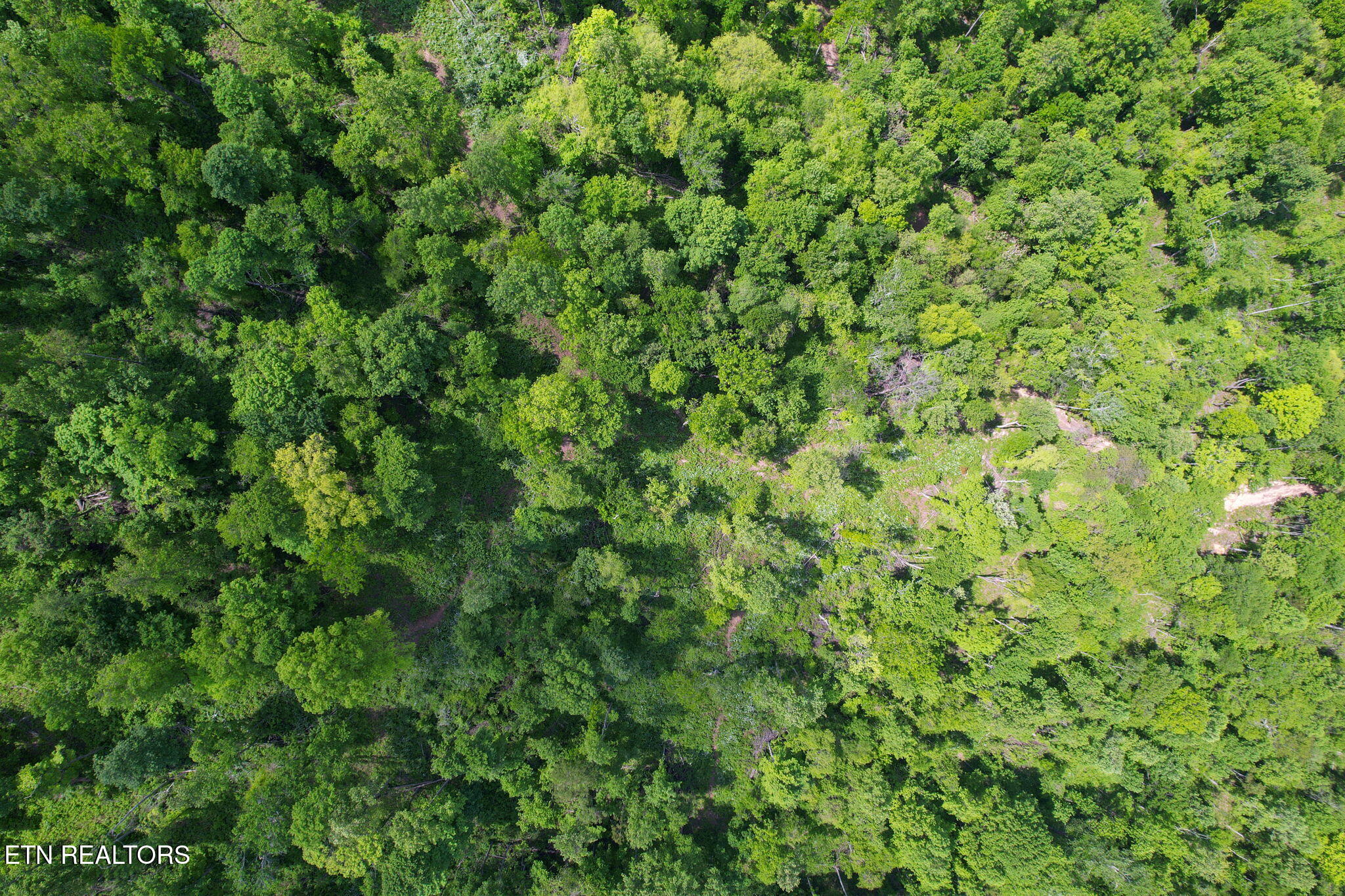 Cove Point Road La Follette, TN 37766 - Photo 6 of 39 5-web-or-mls-DJI_0025B