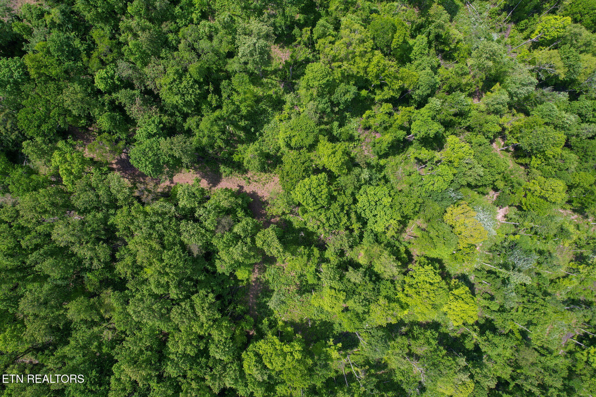 Cove Point Road La Follette, TN 37766 - Photo 7 of 39 6-web-or-mls-DJI_0031B