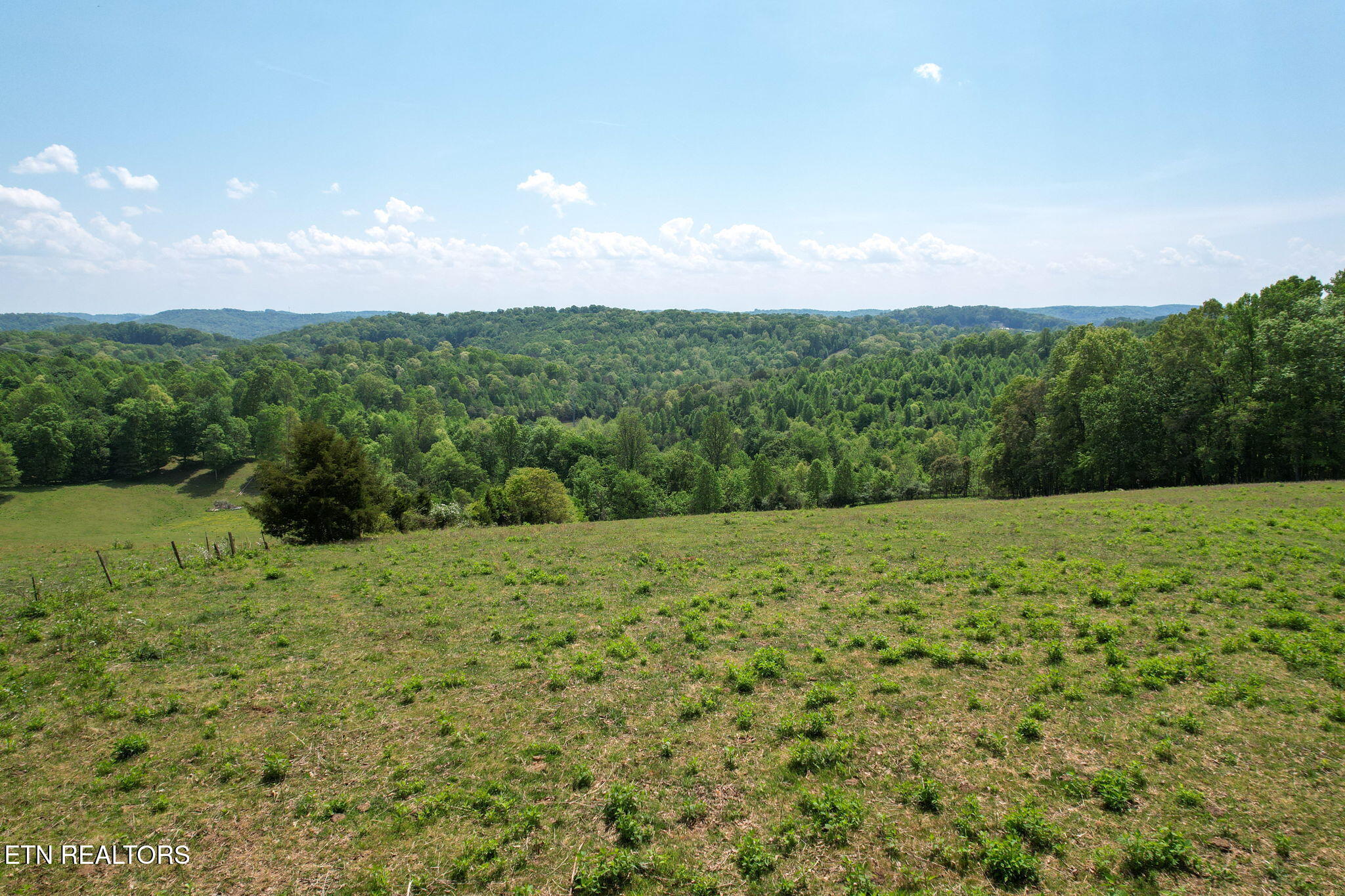 Cove Point Road La Follette, TN 37766 - Photo 8 of 39 7-web-or-mls-DJI_0035B