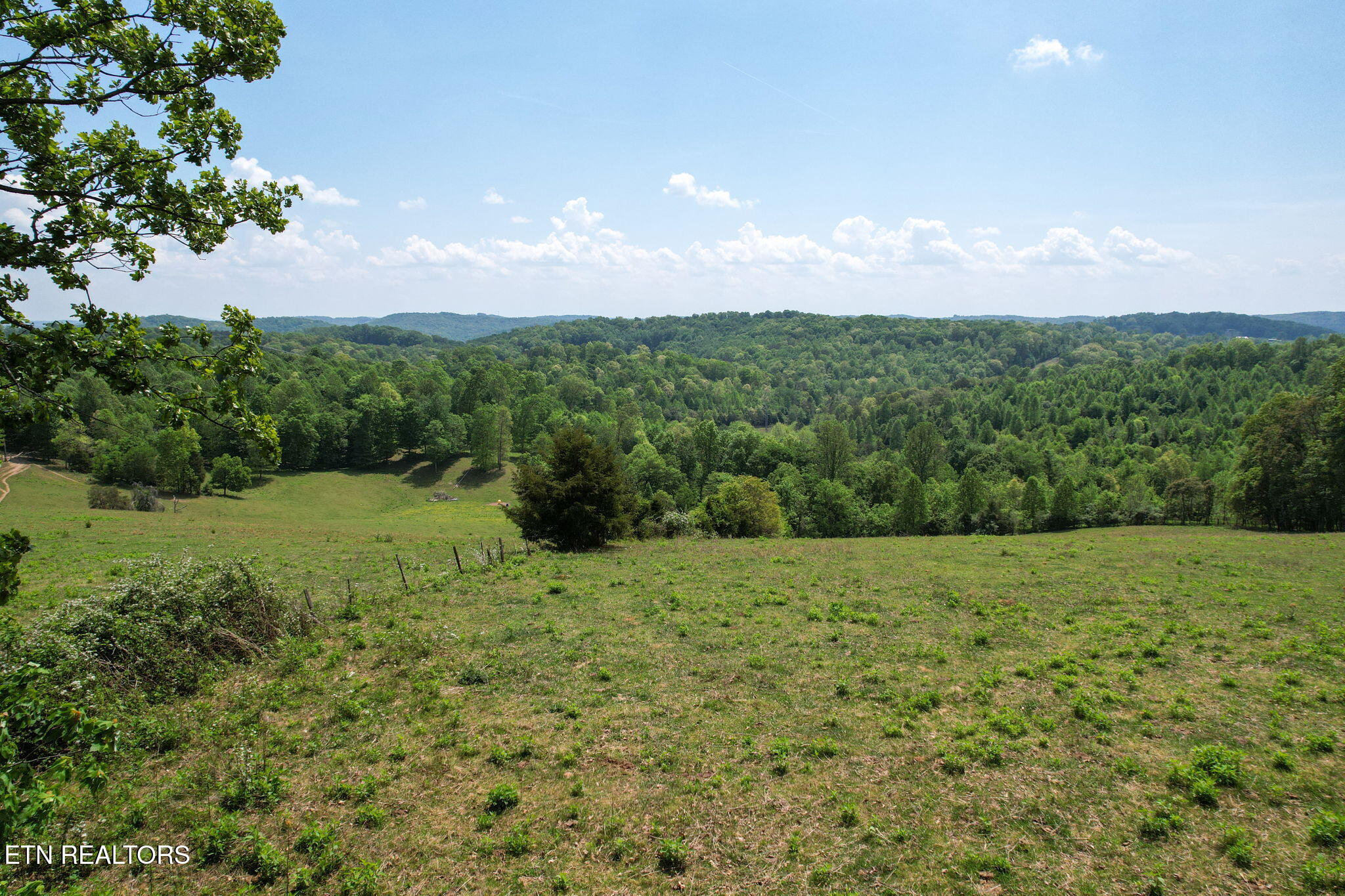 Cove Point Road La Follette, TN 37766 - Photo 9 of 39 8-web-or-mls-DJI_0046B