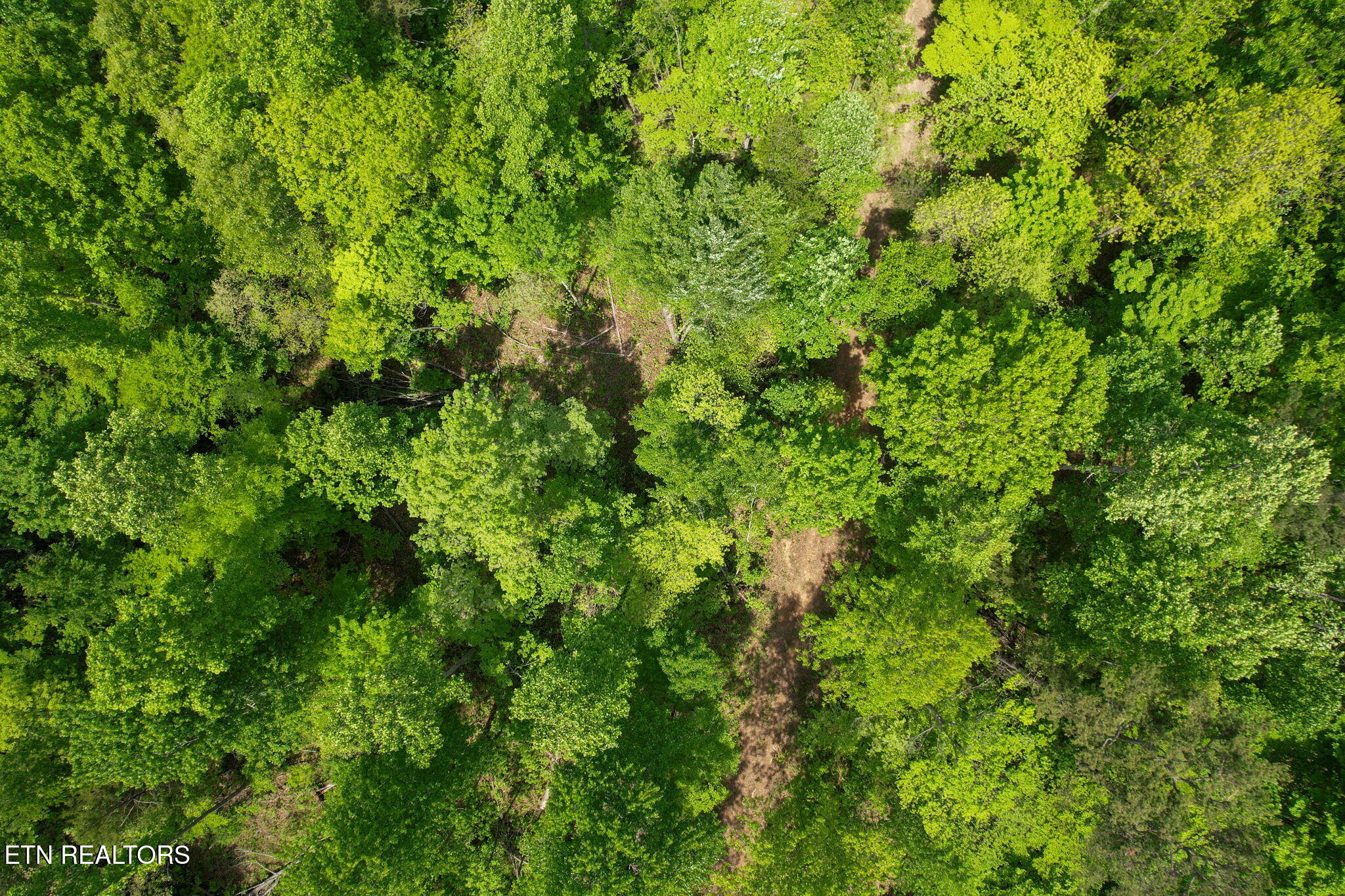 Cove Point Road La Follette, TN 37766 - Photo 10 of 39 9-web-or-mls-DJI_0051B