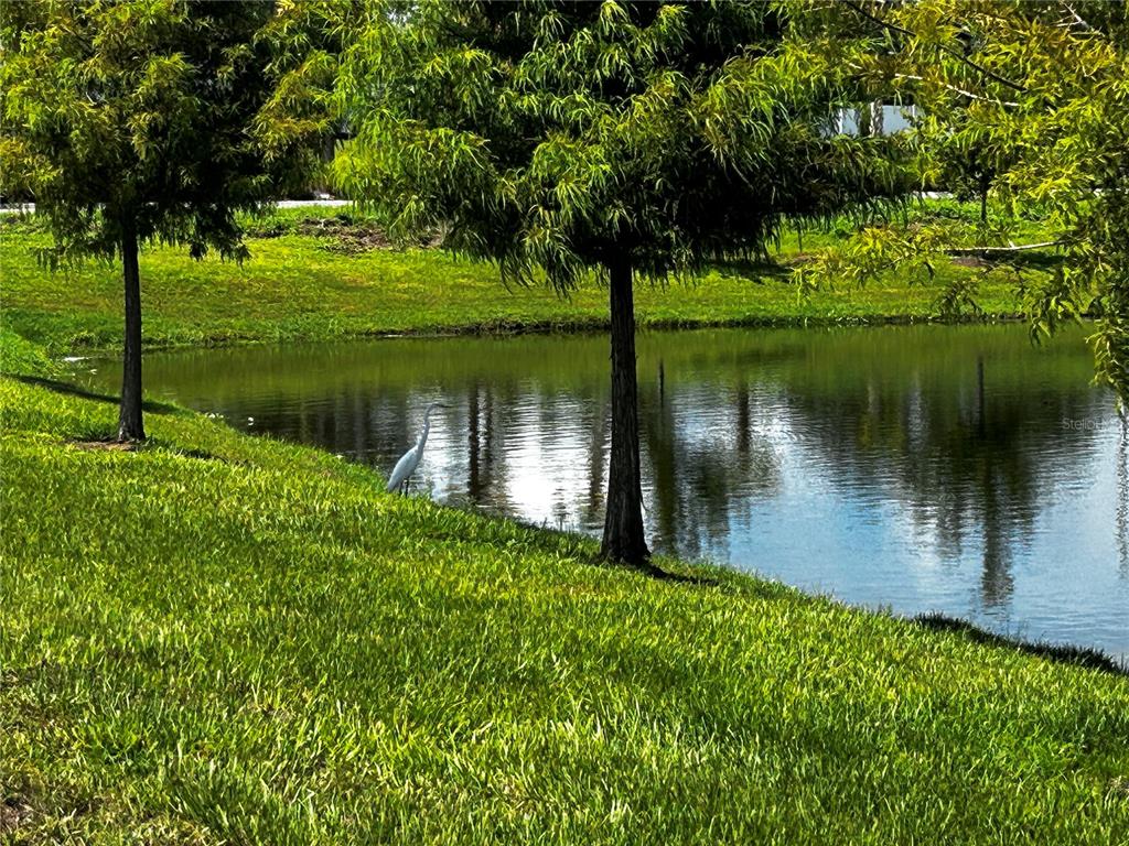 14124 Crimson Avenue Bradenton, FL 34211 - Photo 27 of 27 a lake view with a garden