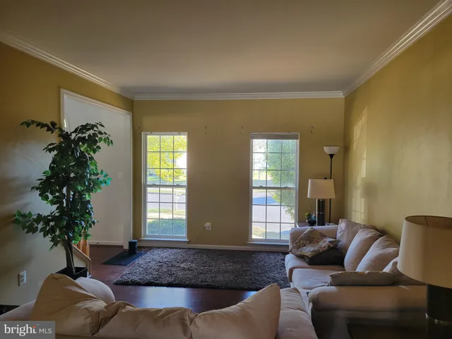 a living room with furniture potted plant and a window