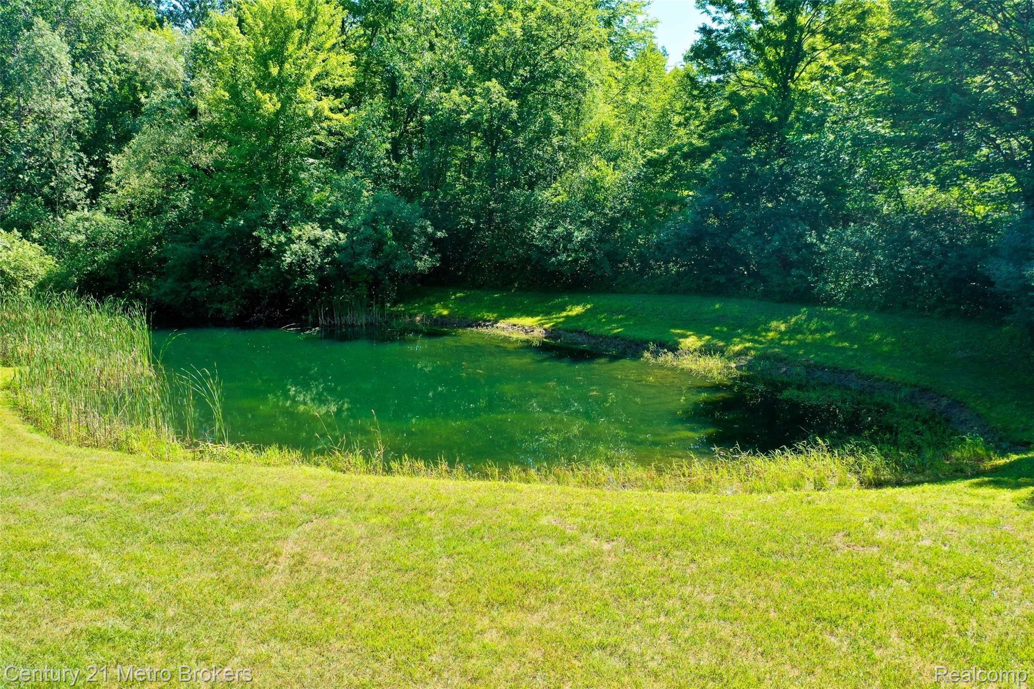 9341 Pettit Road Birch Run, MI 48415 - Photo 67 of 76 9341-Pettit-Rd-66 Outside.jpg