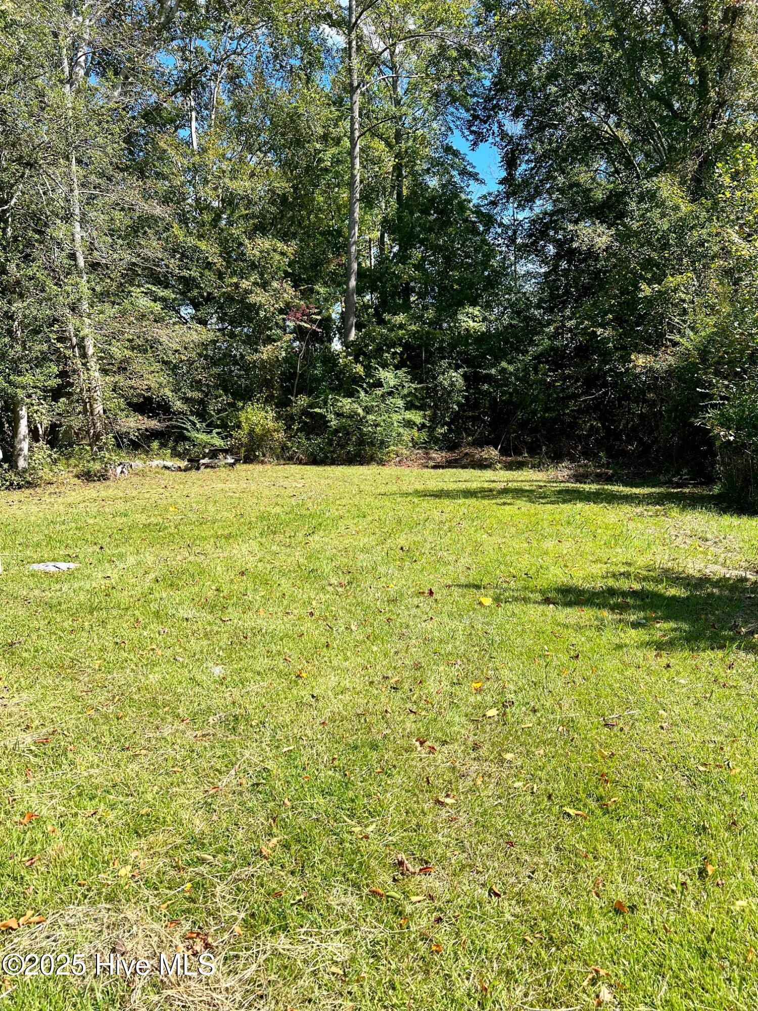 139 Slade Road Pantego, NC 27860 - Photo 17 of 17 Rear Yard