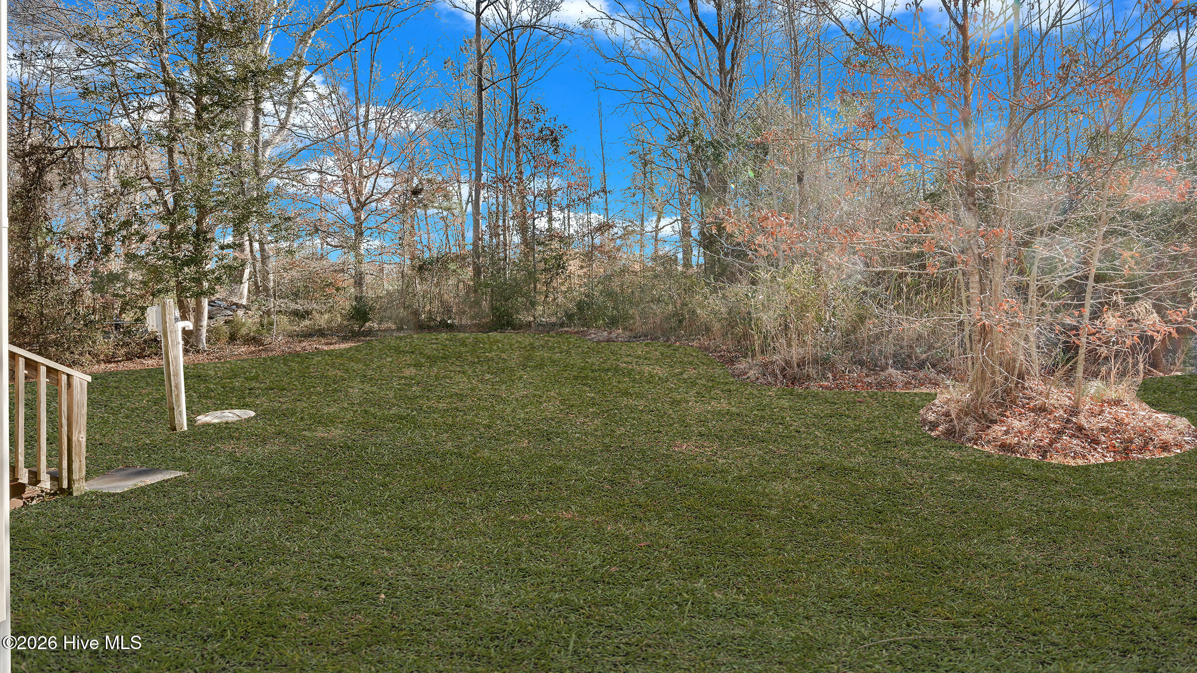 139 Slade Road Pantego, NC 27860 - Photo 25 of 38 Rear Yard