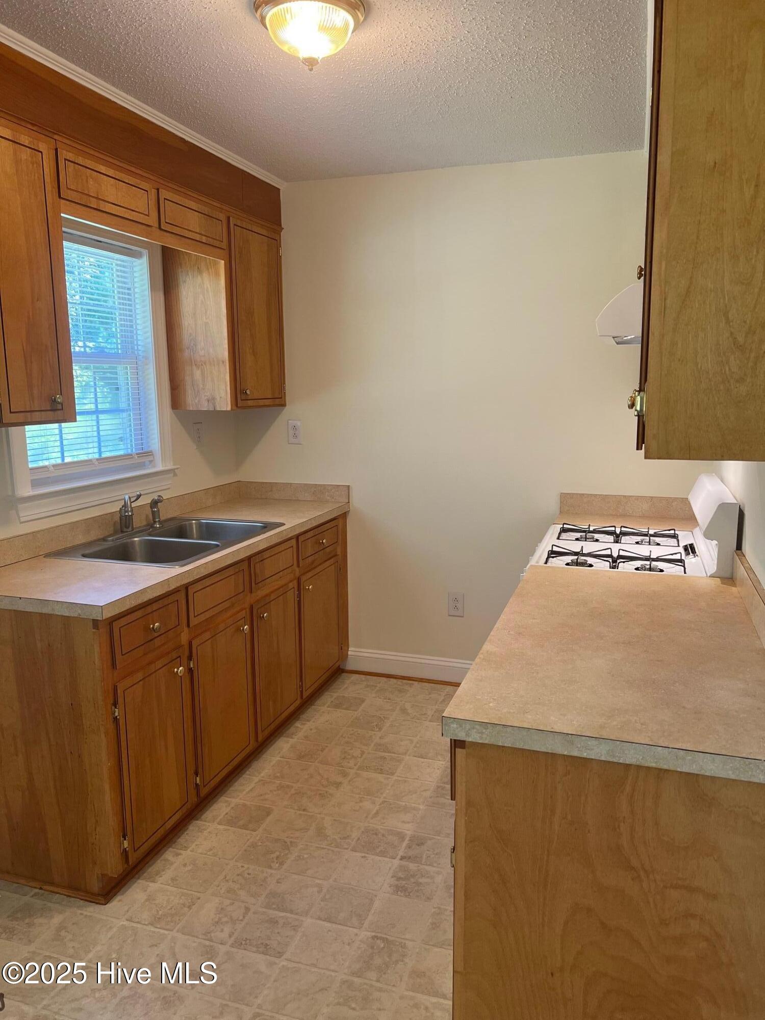 139 Slade Road Pantego, NC 27860 - Photo 6 of 17 Kitchen