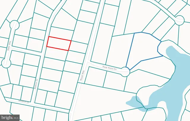 a room with a close up of a plant