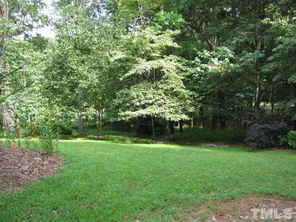 a view of a trees in a park