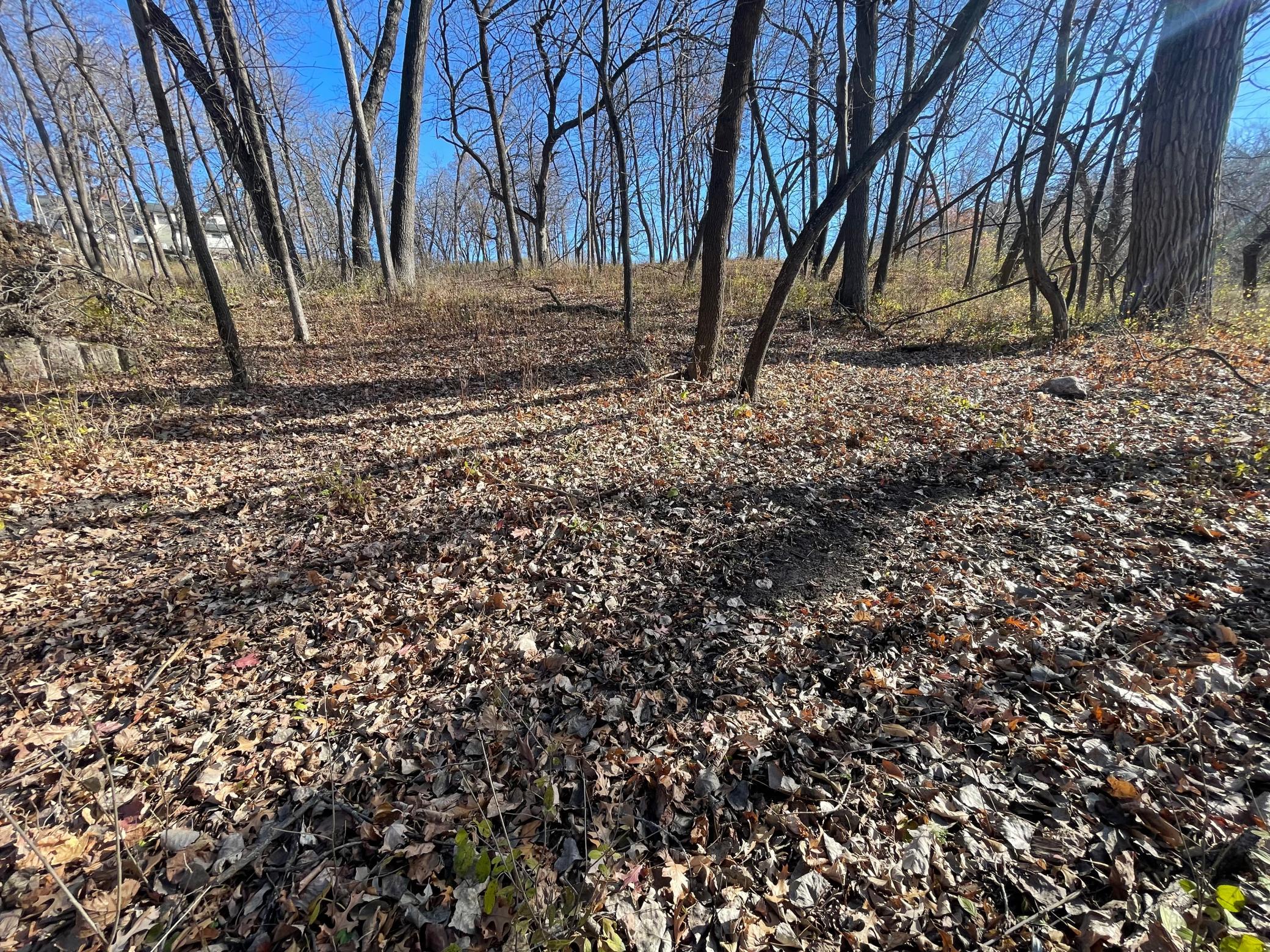 Xxxx Riverview Road Eden Prairie, MN 55347 - Photo 4 of 7