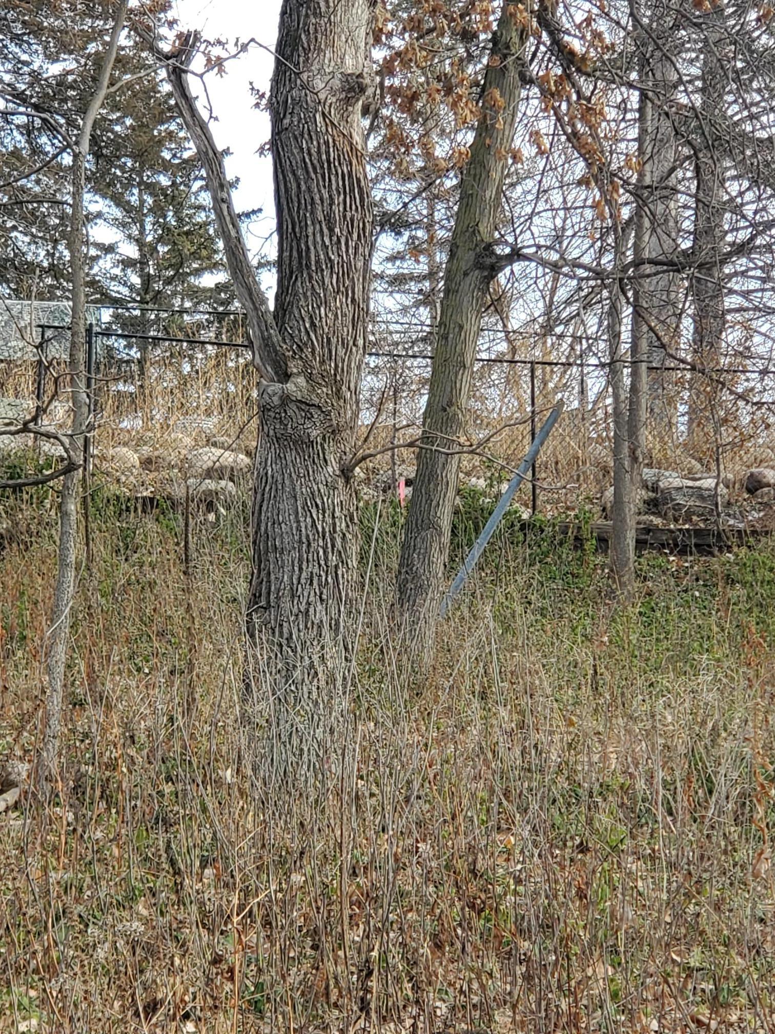 Xxxx Riverview Road Eden Prairie, MN 55347 - Photo 7 of 7