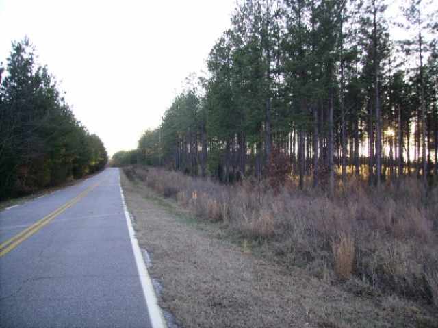 38.05 Acres Chapman Road Honea Path, SC 29654 - Photo 1 of 3