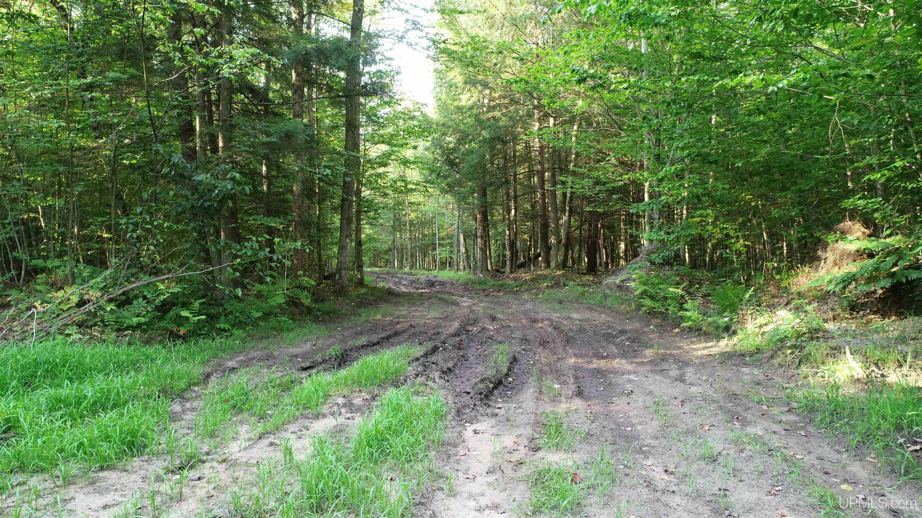 Tbd Sandtown Road Engadine, MI 49827 - Photo 21 of 26 Gallery Image 21