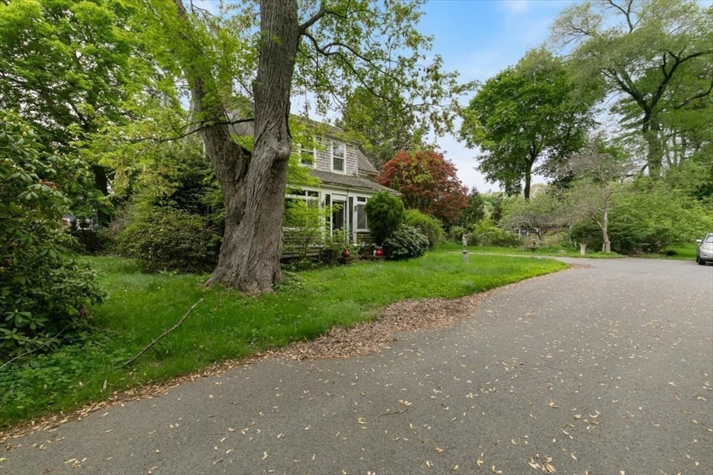 42 Maple Street Hamilton, MA 01982 - Photo 5 of 18 a view of green house with a big yard and large trees