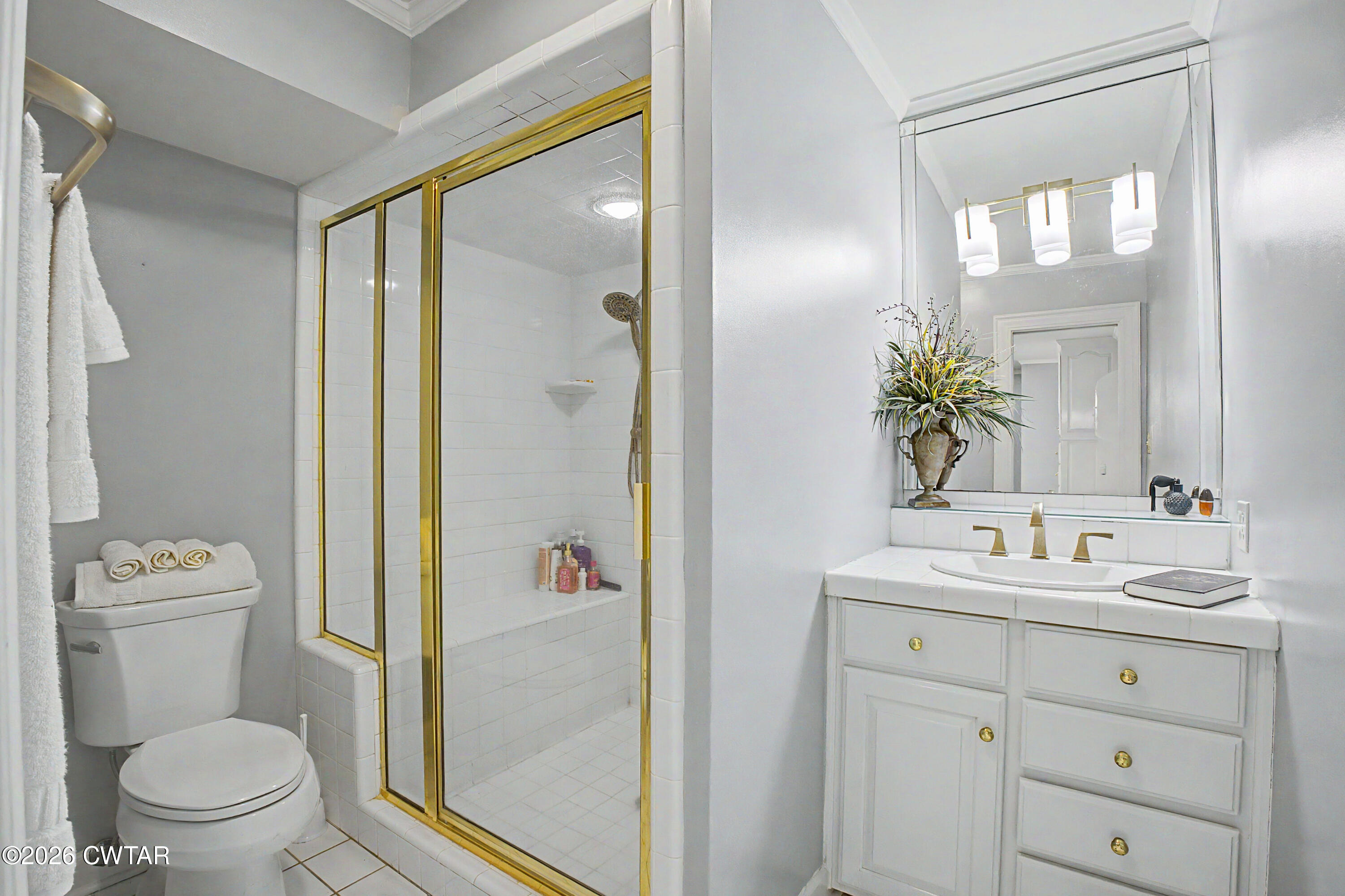 258 Old Humboldt Road Jackson, TN 38305 - Photo 38 of 54 Primary Bathroom 3