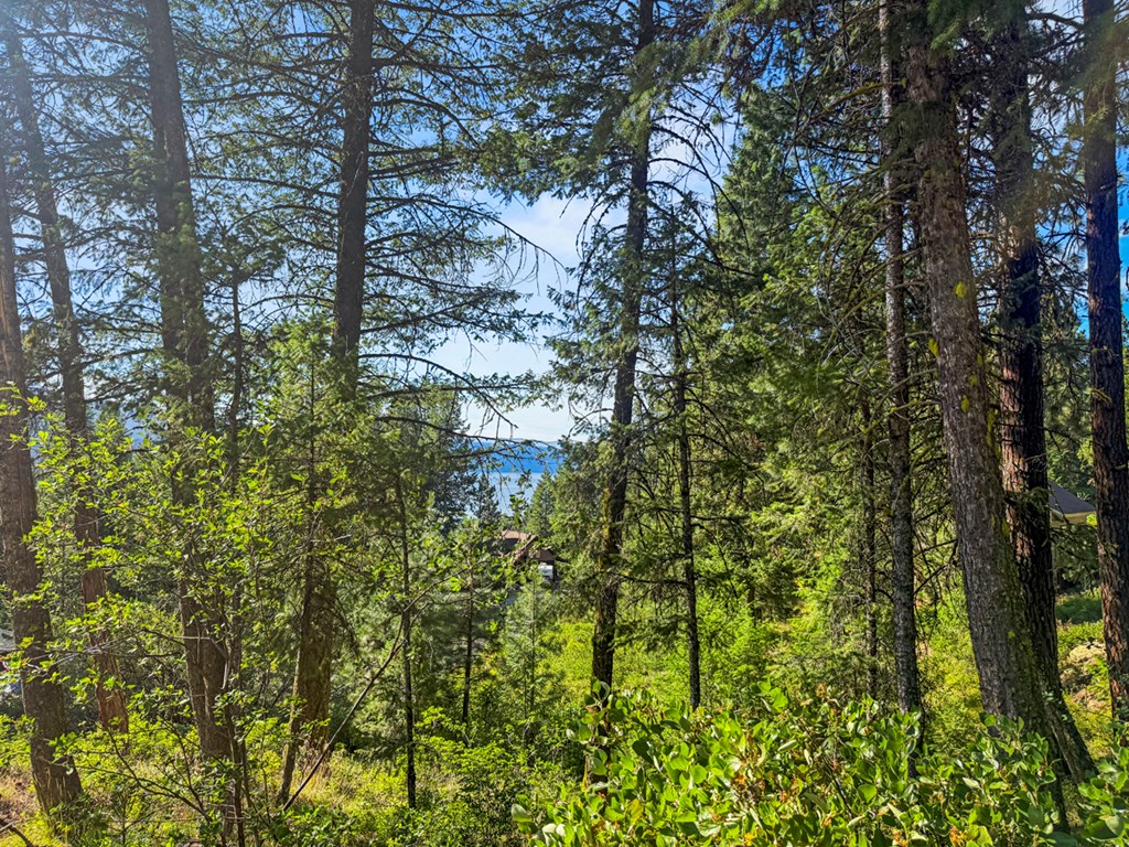 507 Collier View Road, Unit 30 Cascade, ID 83611 - Photo 15 of 18 End of Road Haven