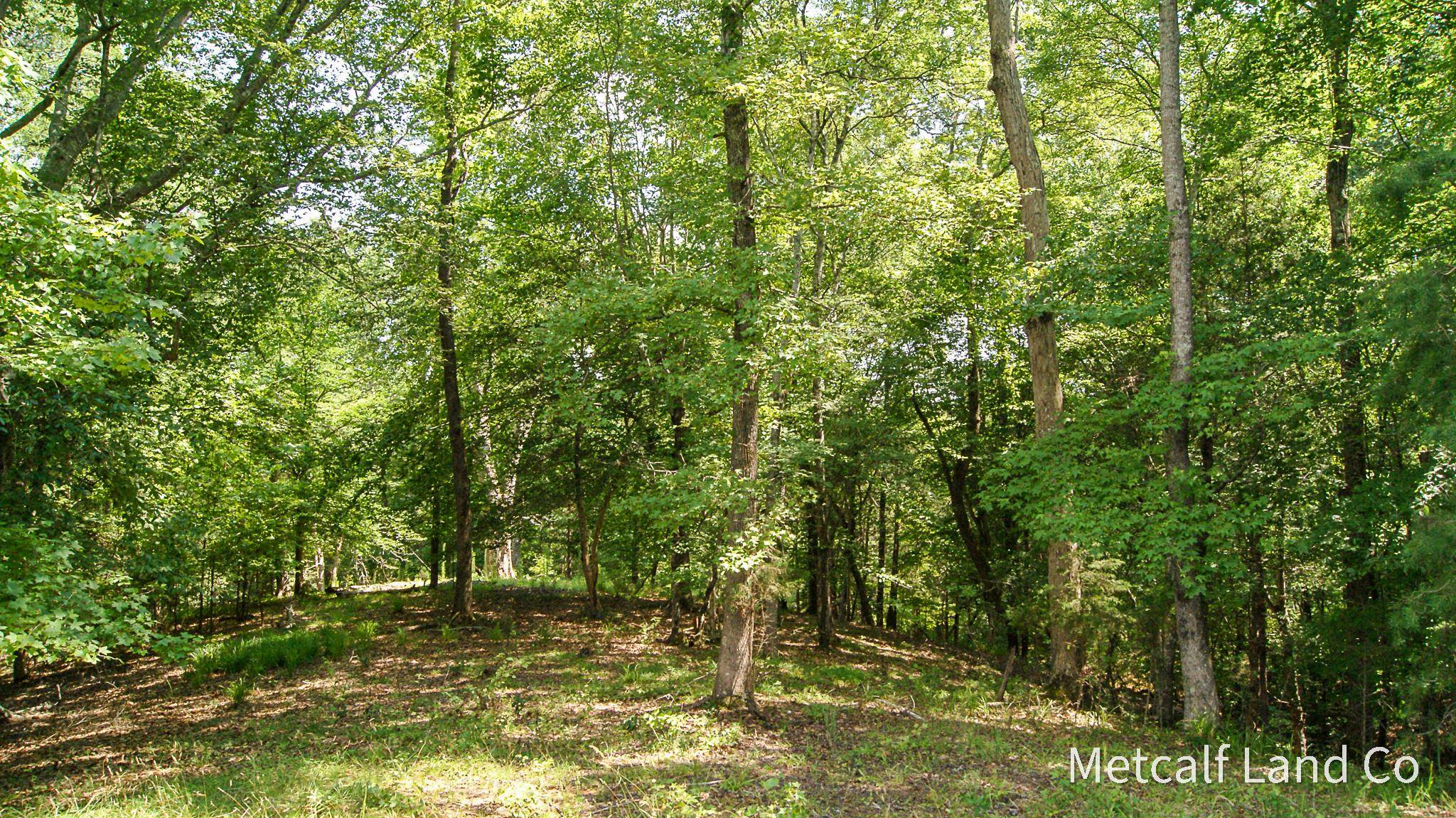 1461 Harrelson Road Pauline, SC 29374 - Photo 36 of 36
