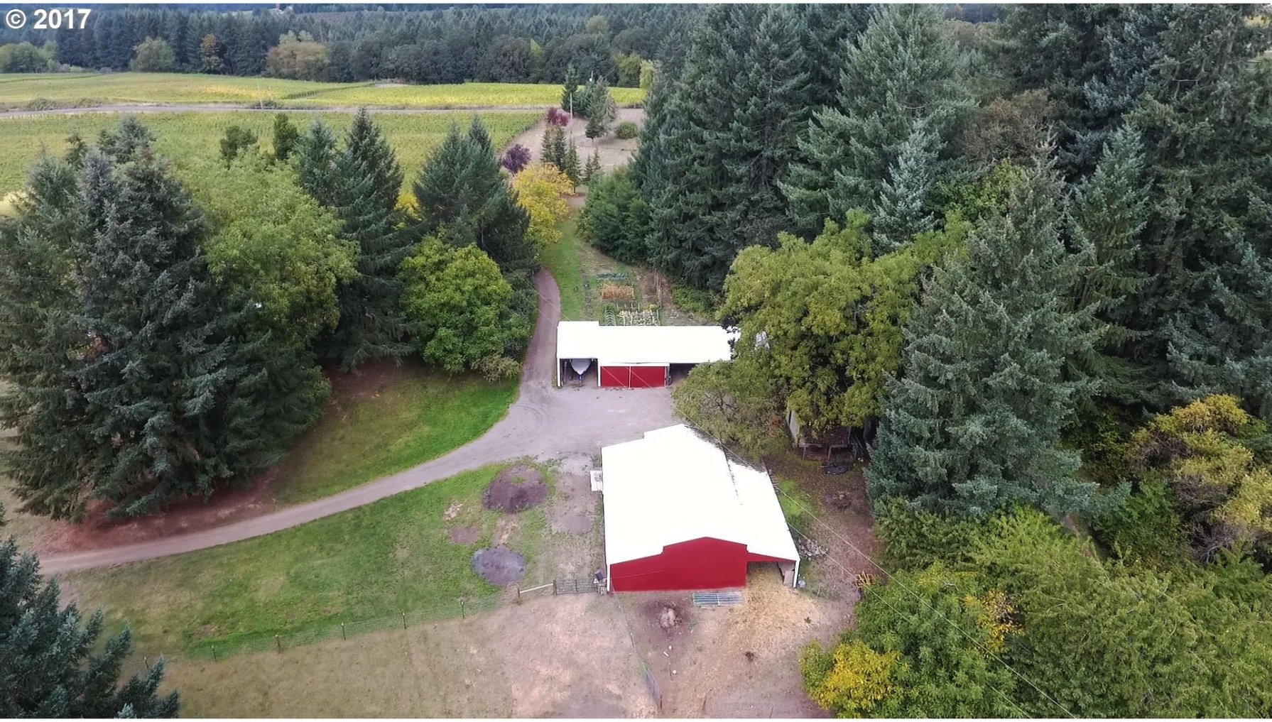 19486 Northeast Ribbon Ridge Road Newberg, OR 97132 - Photo 20 of 30