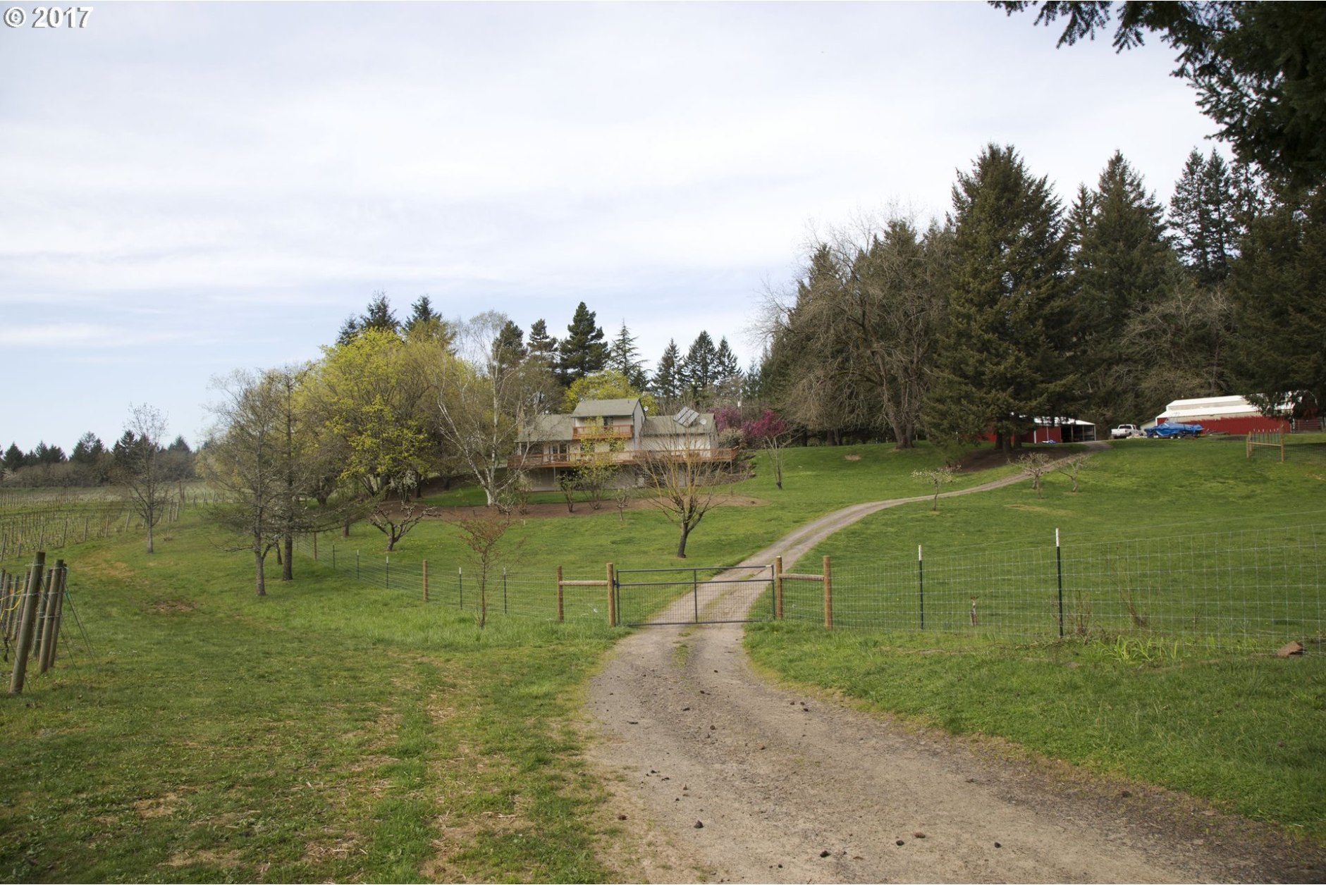 19486 Northeast Ribbon Ridge Road Newberg, OR 97132 - Photo 3 of 30