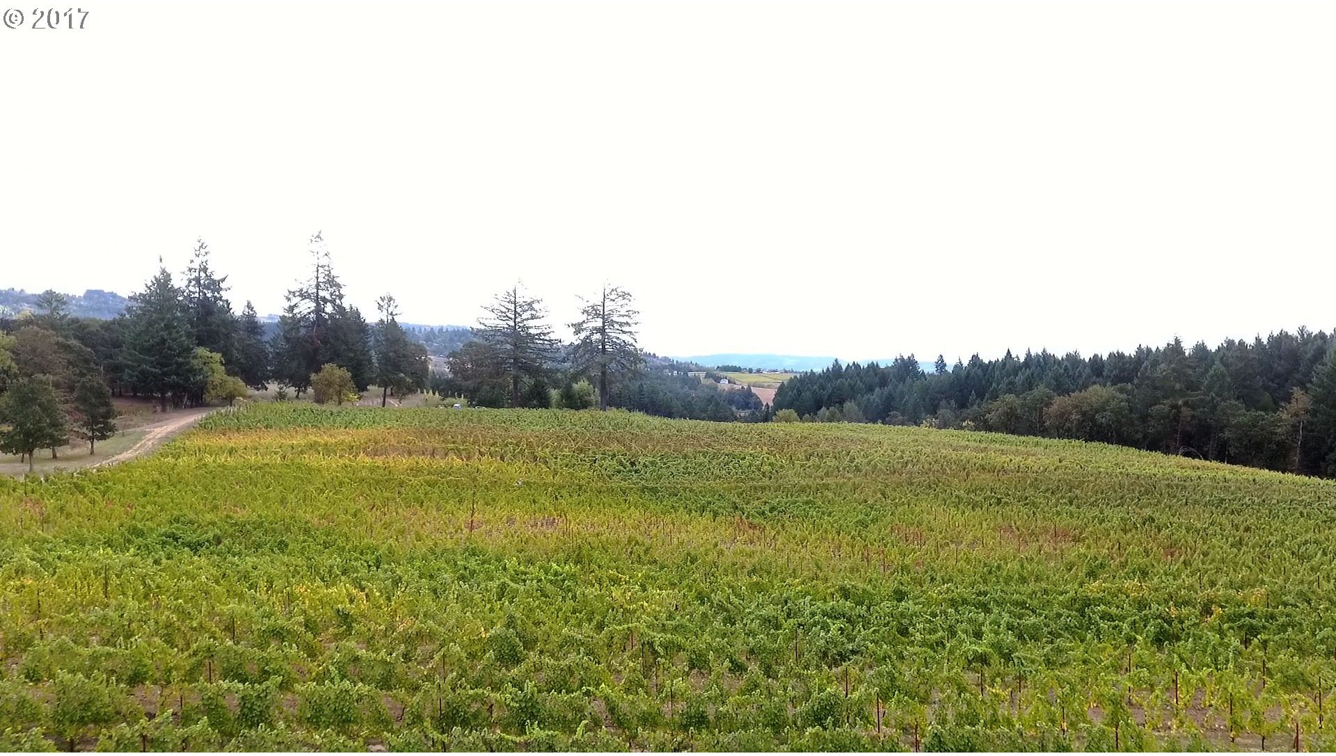 19486 Northeast Ribbon Ridge Road Newberg, OR 97132 - Photo 21 of 30