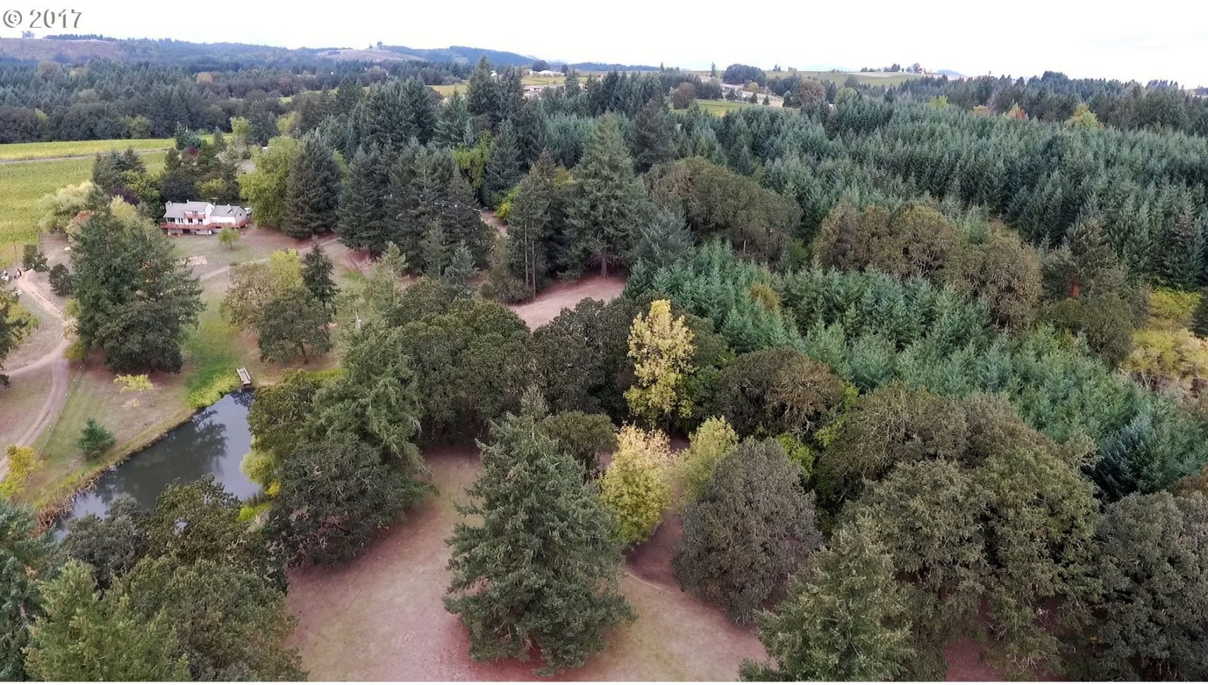 19486 Northeast Ribbon Ridge Road Newberg, OR 97132 - Photo 29 of 30