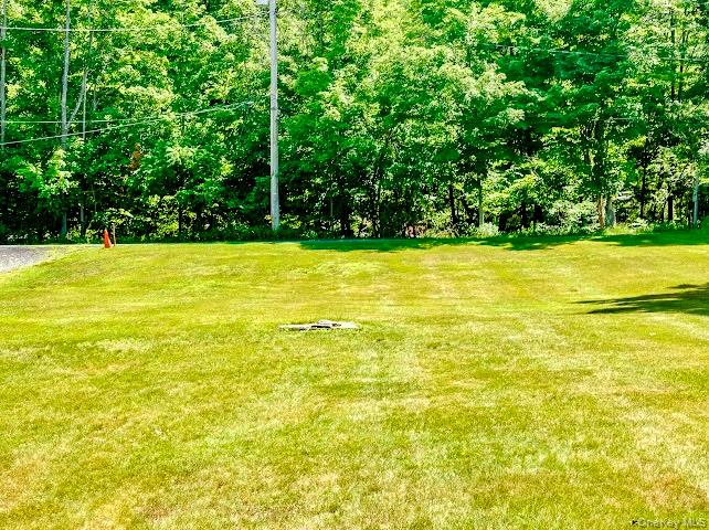 4 Tow Path Road Barryville, NY 12719 - Photo 17 of 18