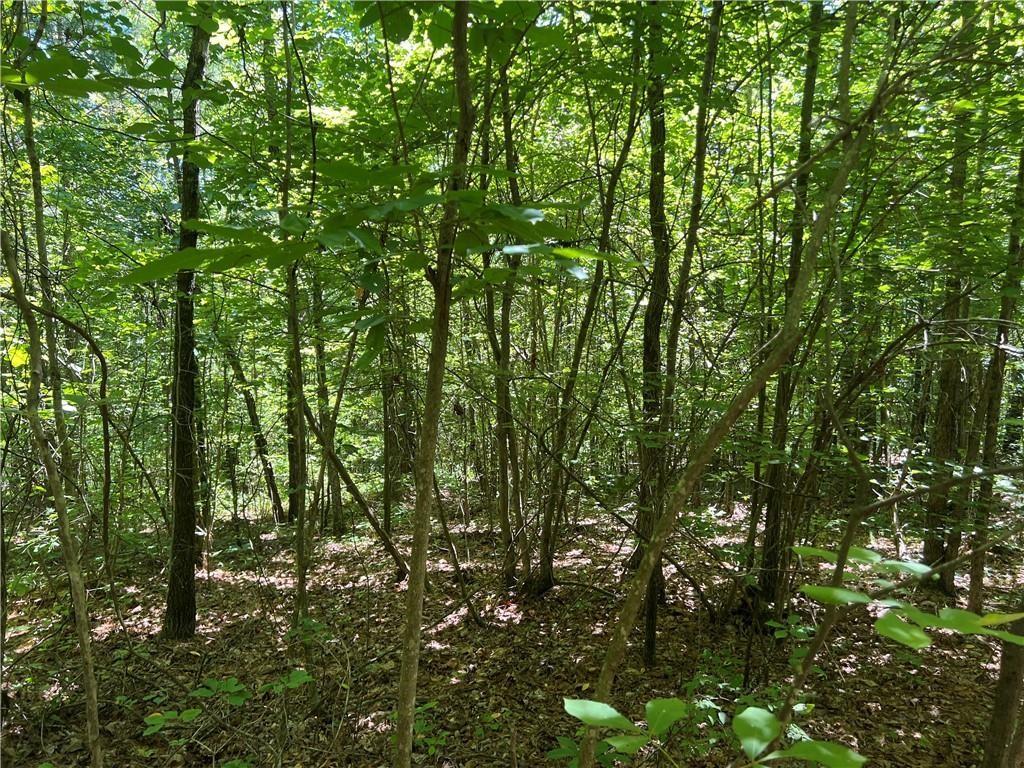 0 Fortner Road Ball Ground, GA 30107 - Photo 11 of 22