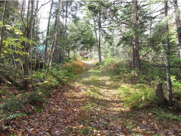 0 Hidden Acres Road Stewartstown, NH 03576 - Photo 3 of 14