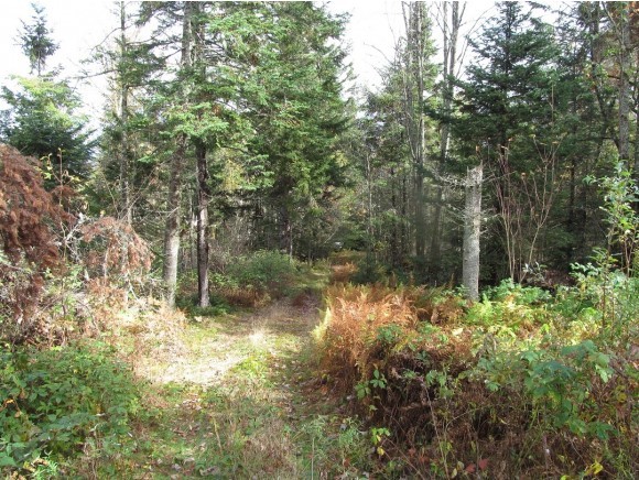 0 Hidden Acres Road Stewartstown, NH 03576 - Photo 4 of 14