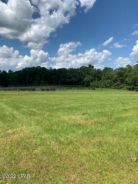 1320 Beaver Dam Road Bonifay, FL 32425 - Photo 3 of 15 Gallery Image 3