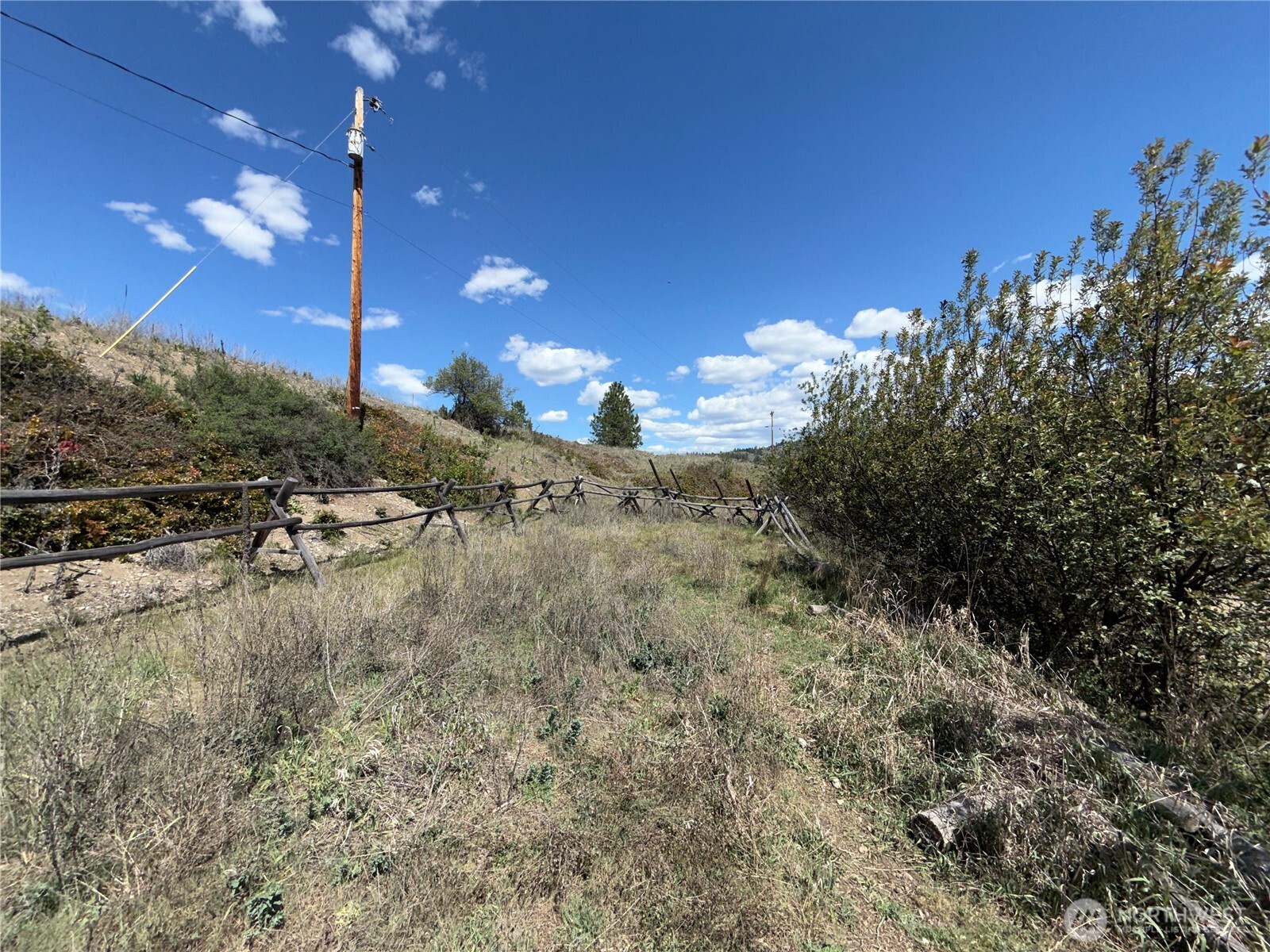 182 Kiwanis Road Republic, WA 99166 - Photo 10 of 13 a view of a yard