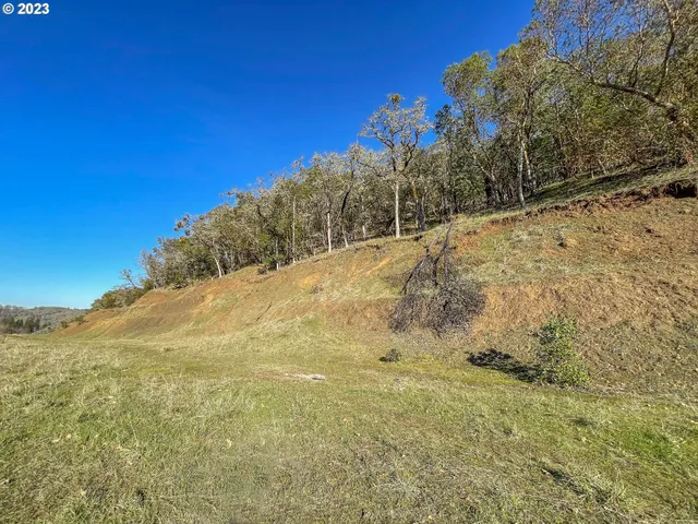a view of a yard with trees