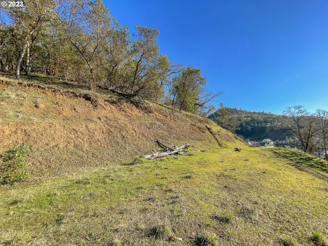 a view of a yard with trees