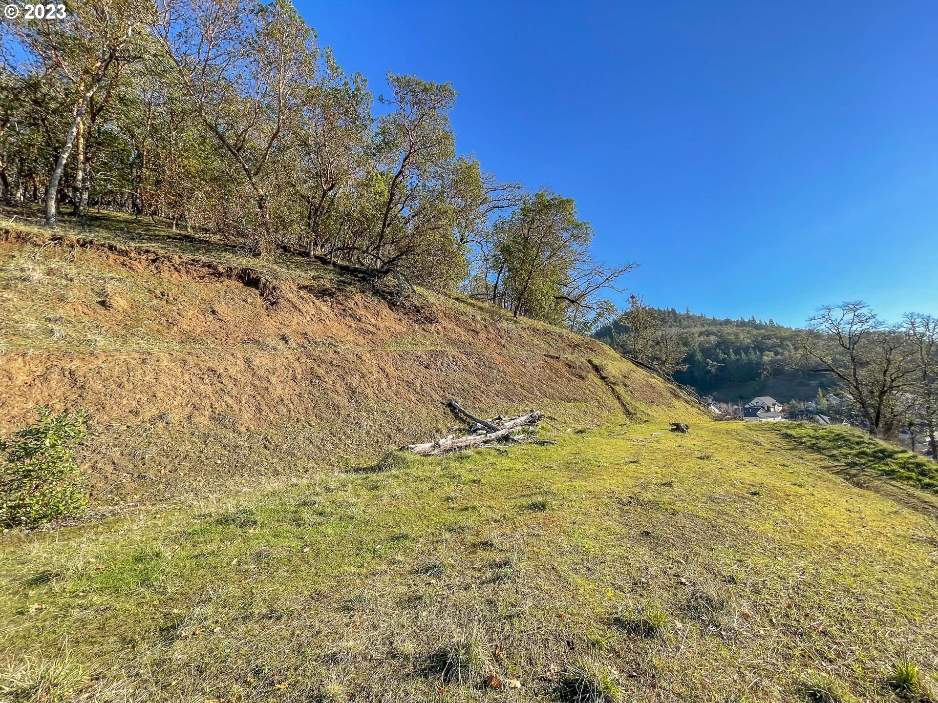 647 North View Drive Winchester, OR 97495 - Photo 3 of 9 a view of a yard with trees