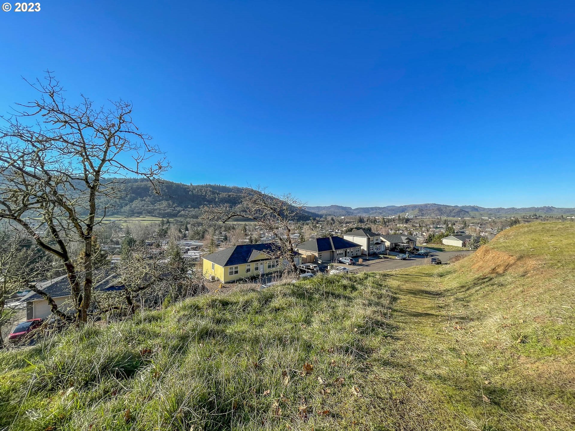647 North View Drive Winchester, OR 97495 - Photo 5 of 9 a view of a mountain with a garden