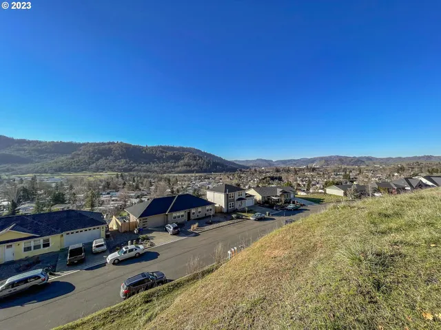 a view of a yard with trees